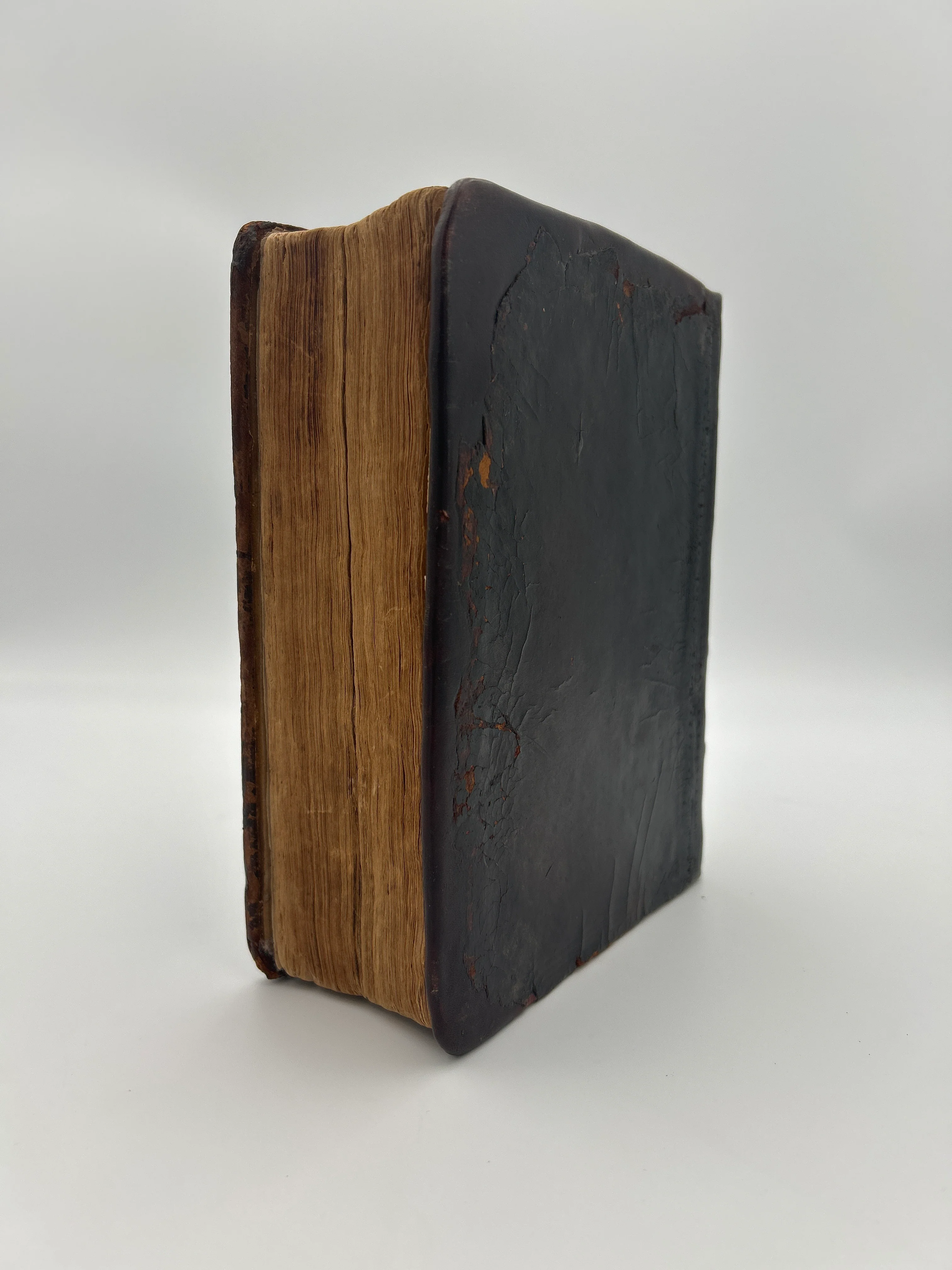 1599 Quarto Illustrated Geneva Bible - Image 2