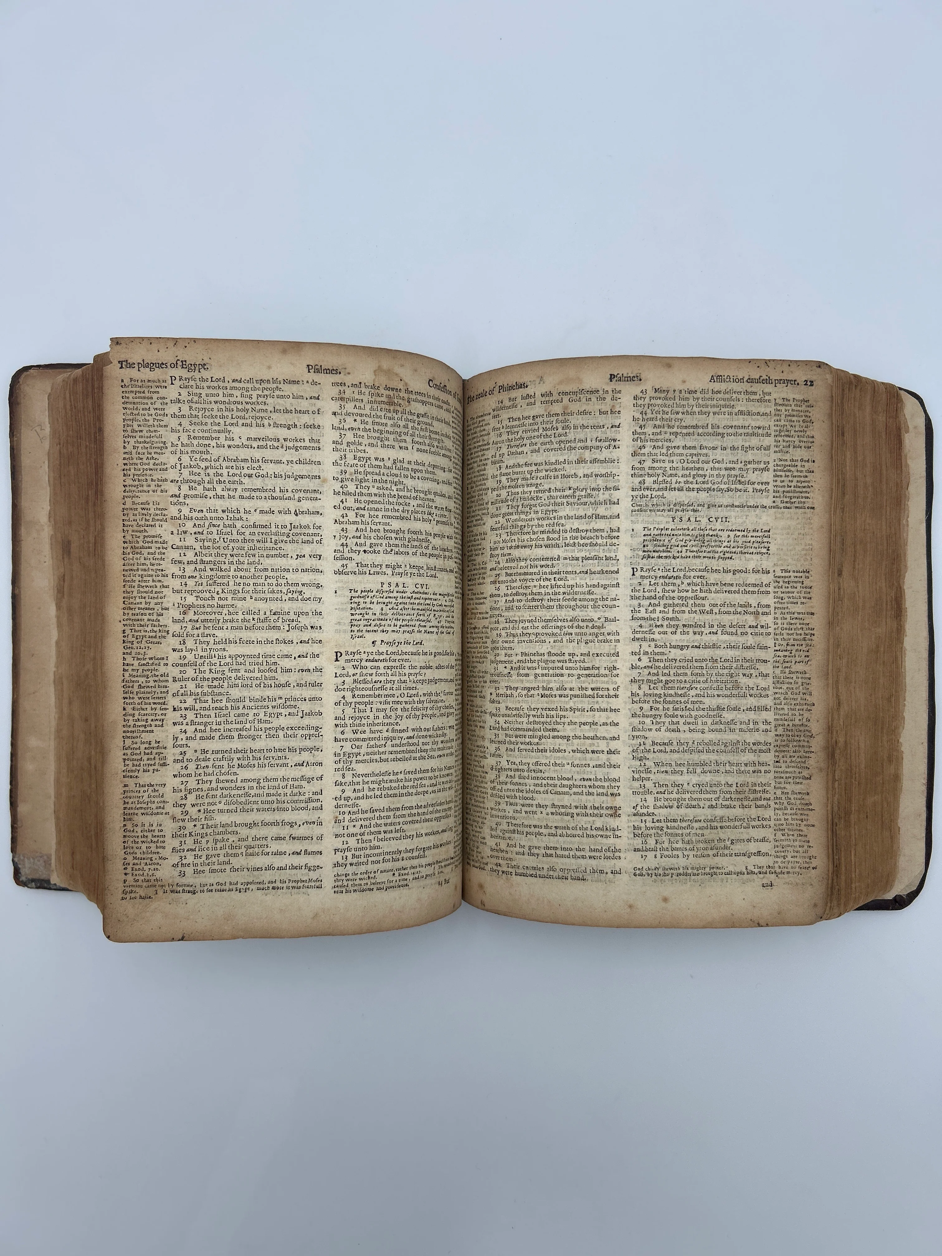 1599 Quarto Illustrated Geneva Bible - Image 5