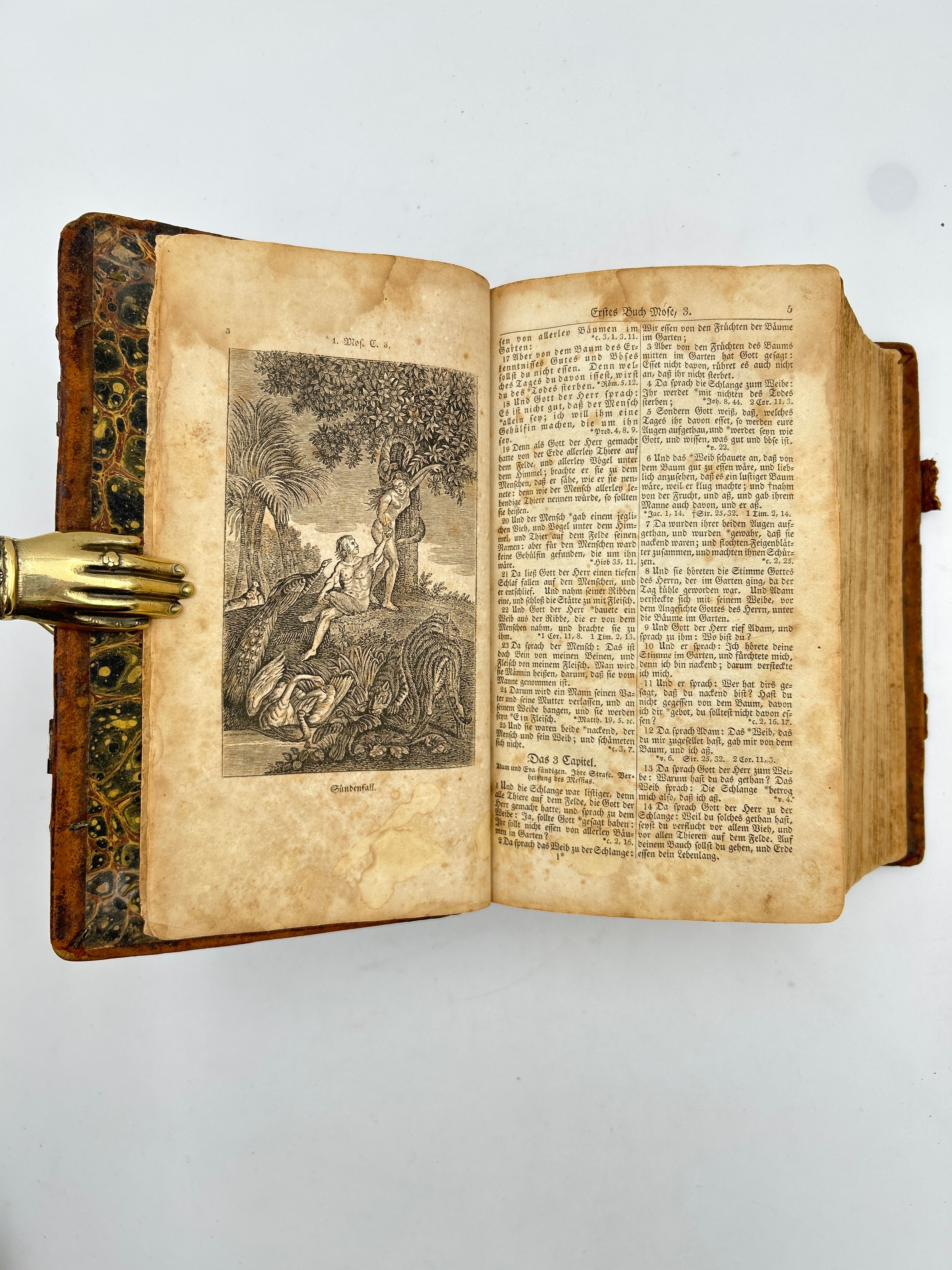 Holy Bible in German 1830 - Image 4