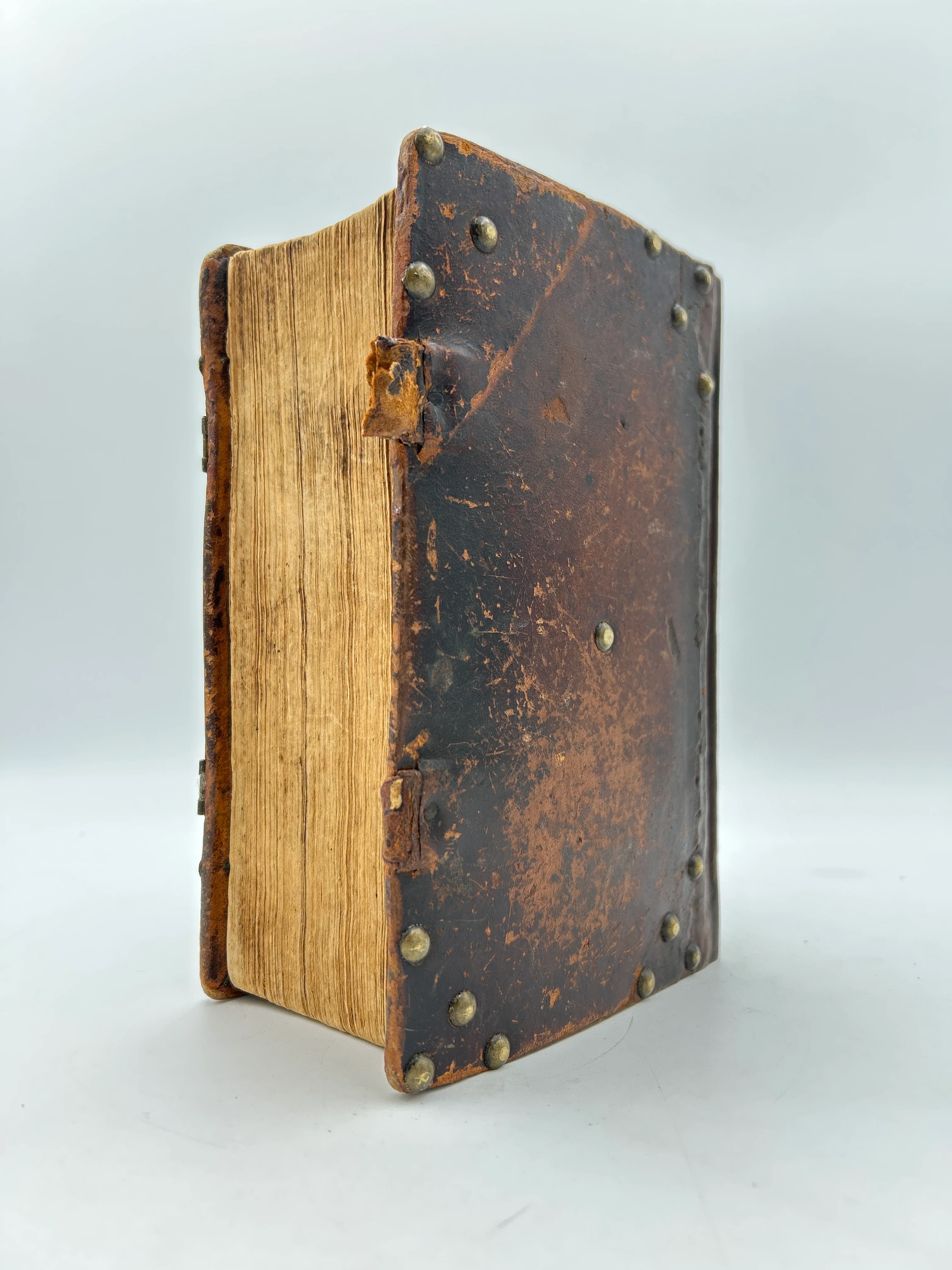 Holy Bible in German 1830 - Image 6