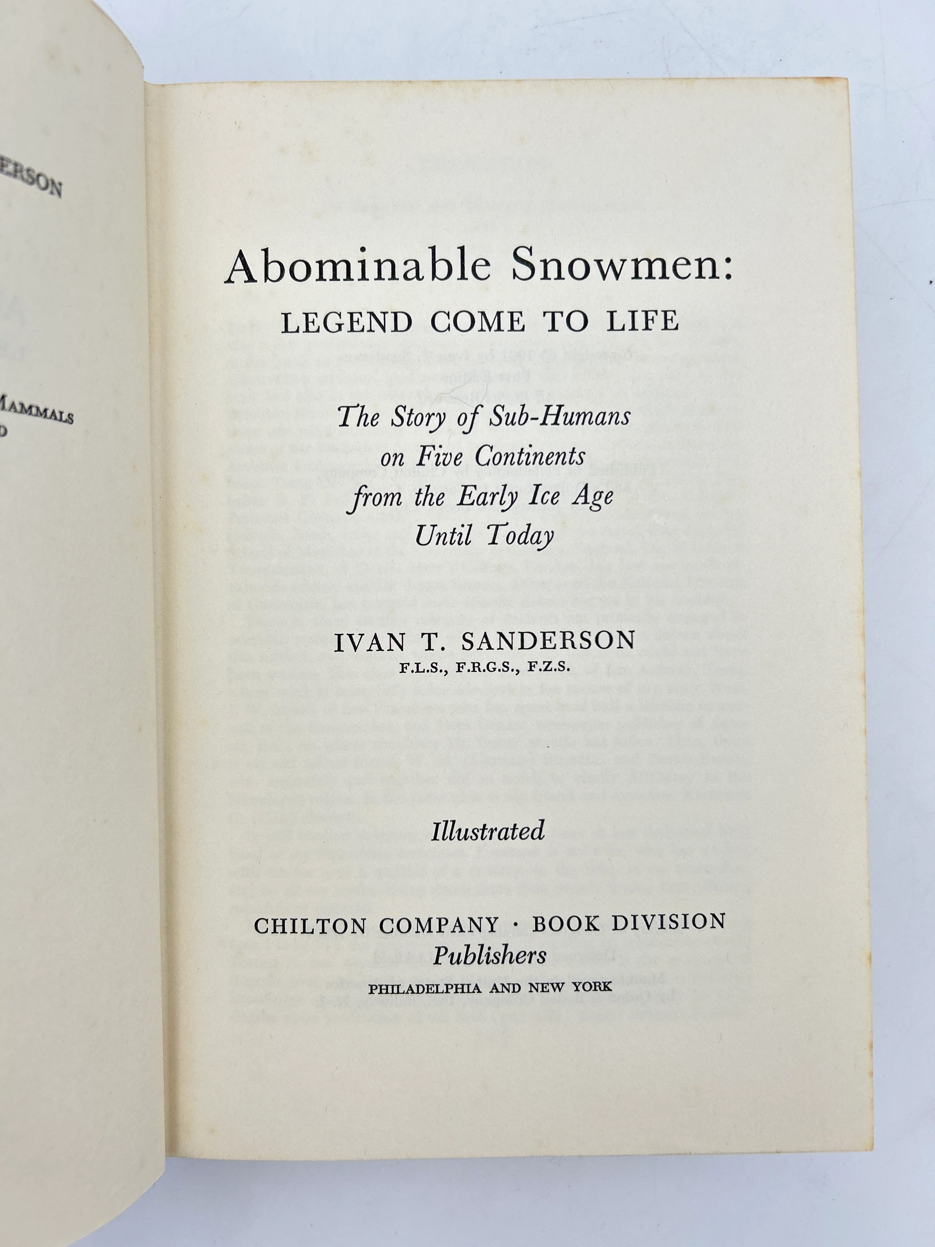 Abominable Snowman - Image 3