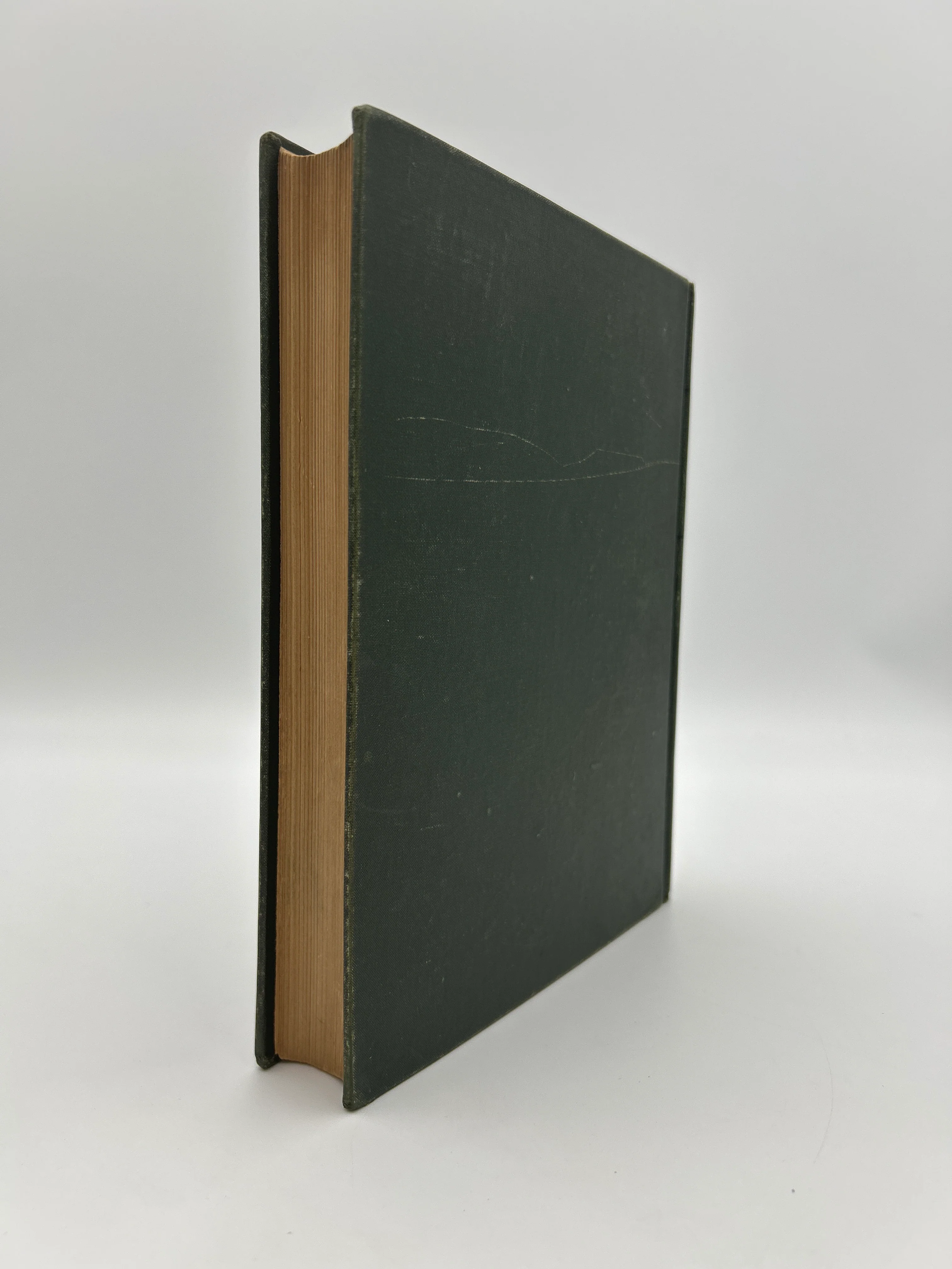 Adventures of Huckleberry Finn - Image 4