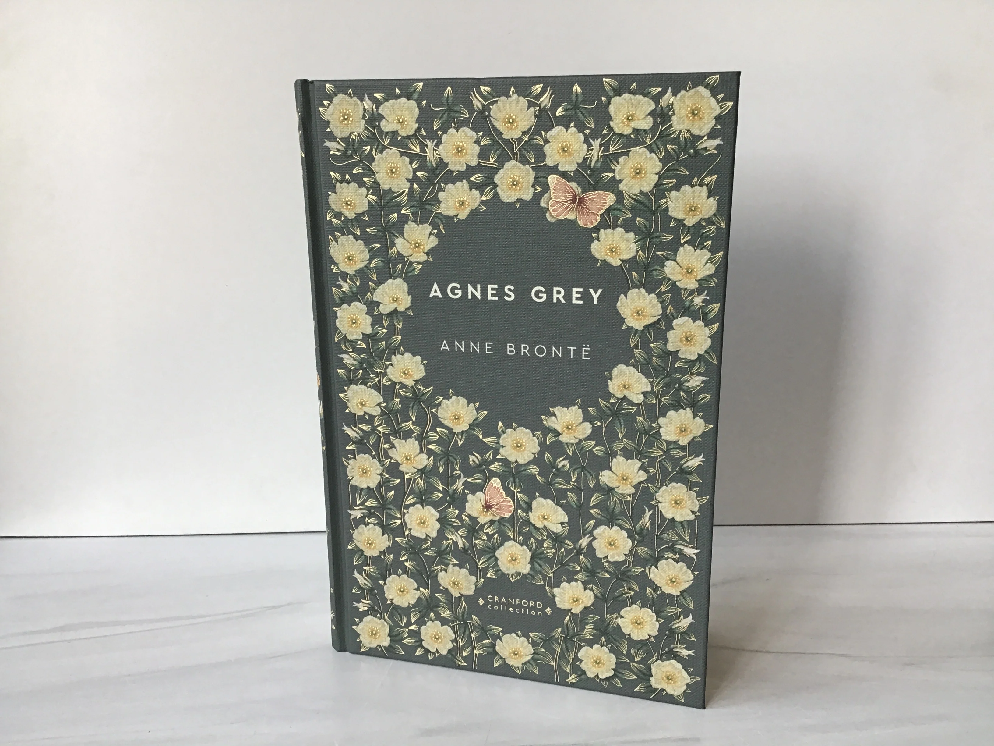 Agnes Grey (Reprint)