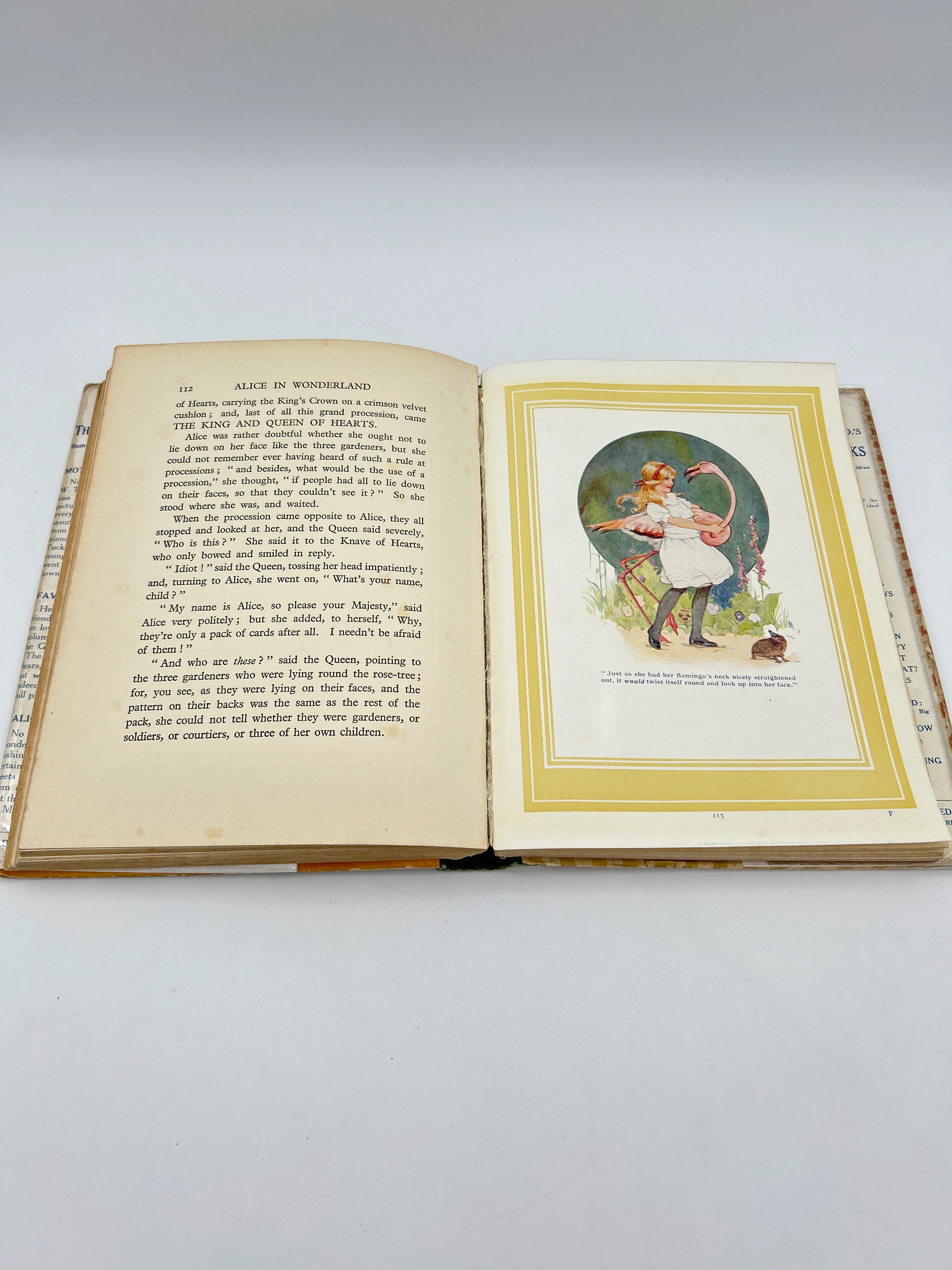 Alice in Wonderland - Image 6