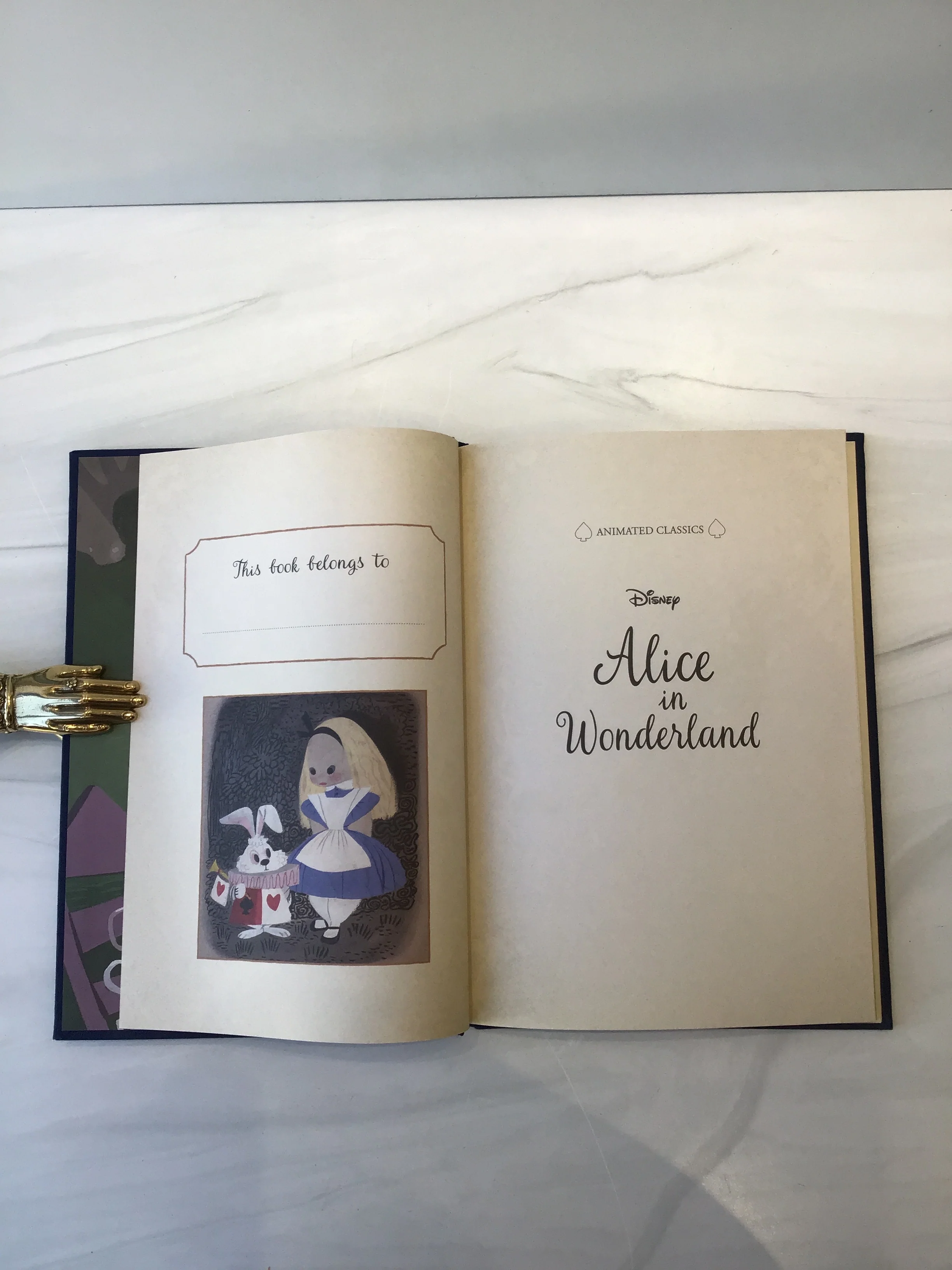 Alice in Wonderland* - Image 3