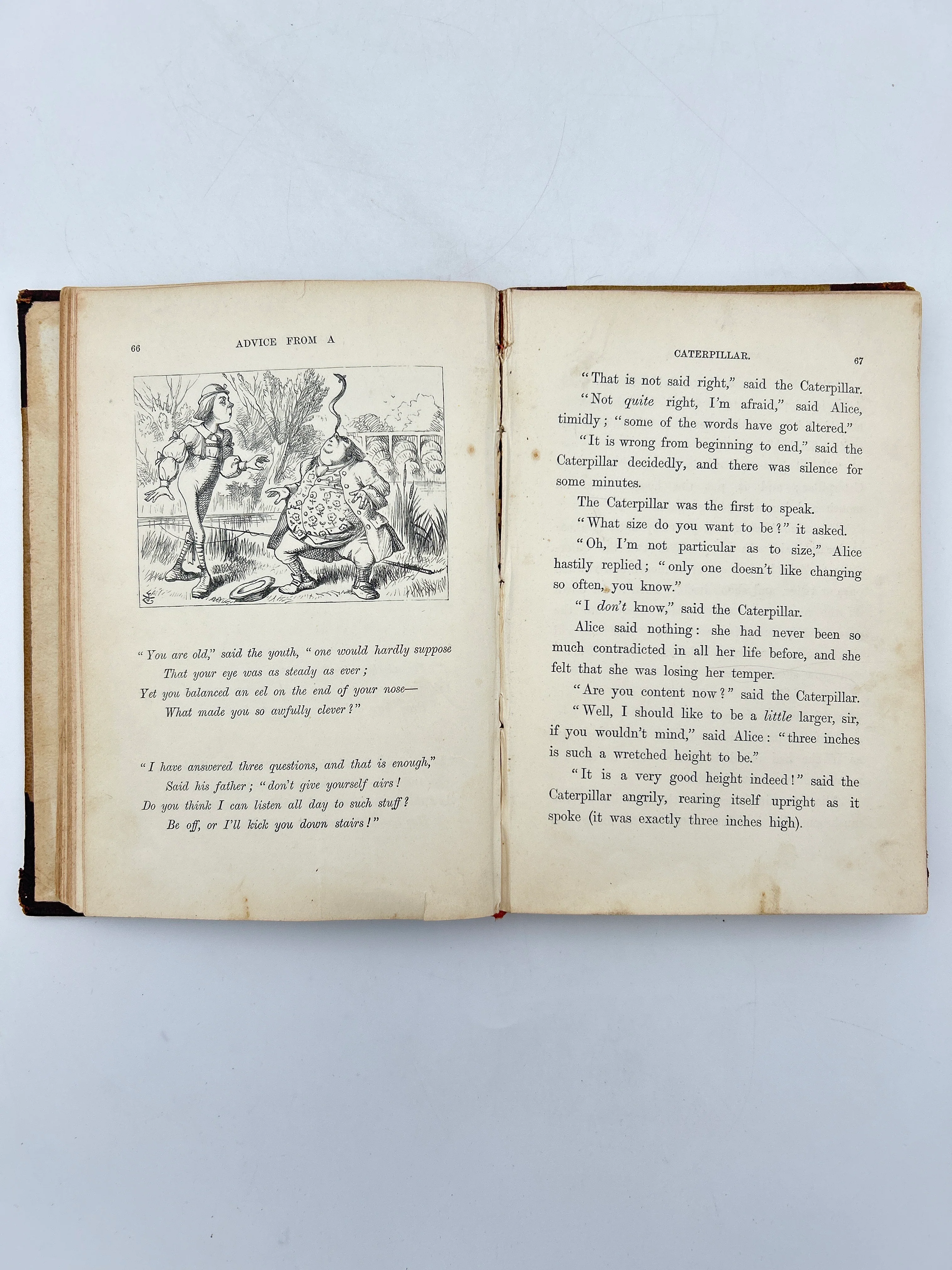 Alice's Adventures in Wonderland - Image 3