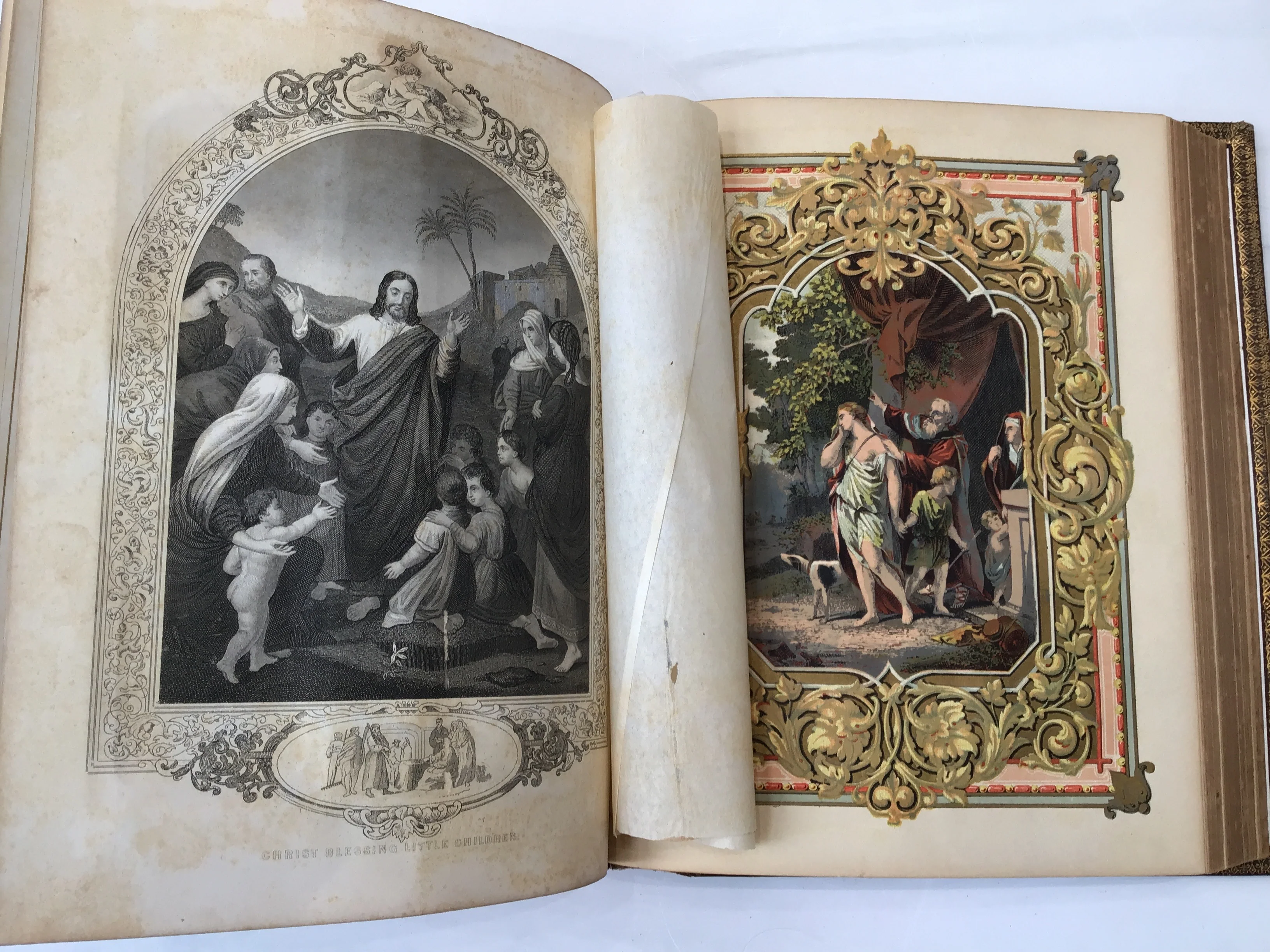 American Family Bible* - Image 9