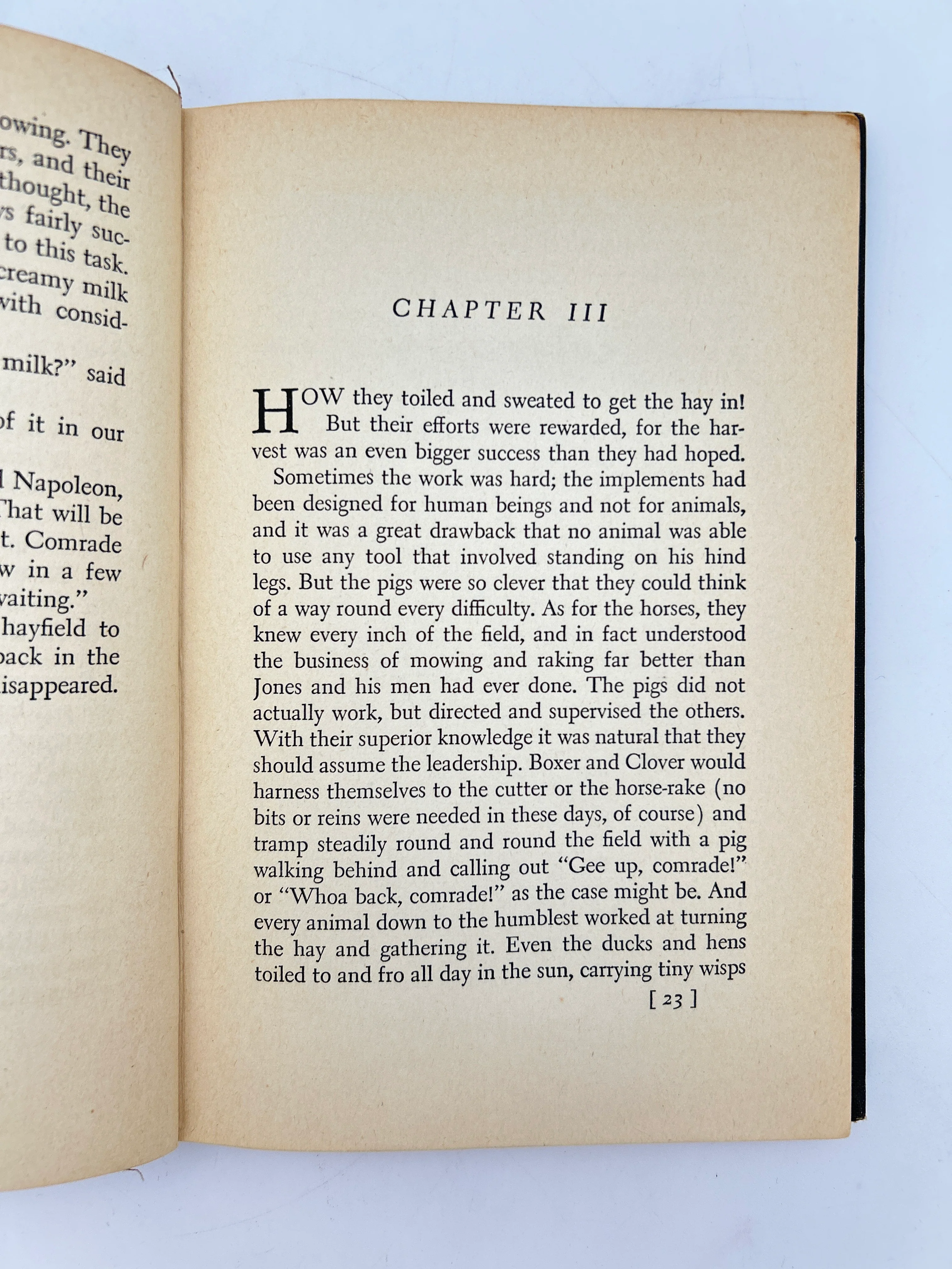 Animal Farm - Image 4