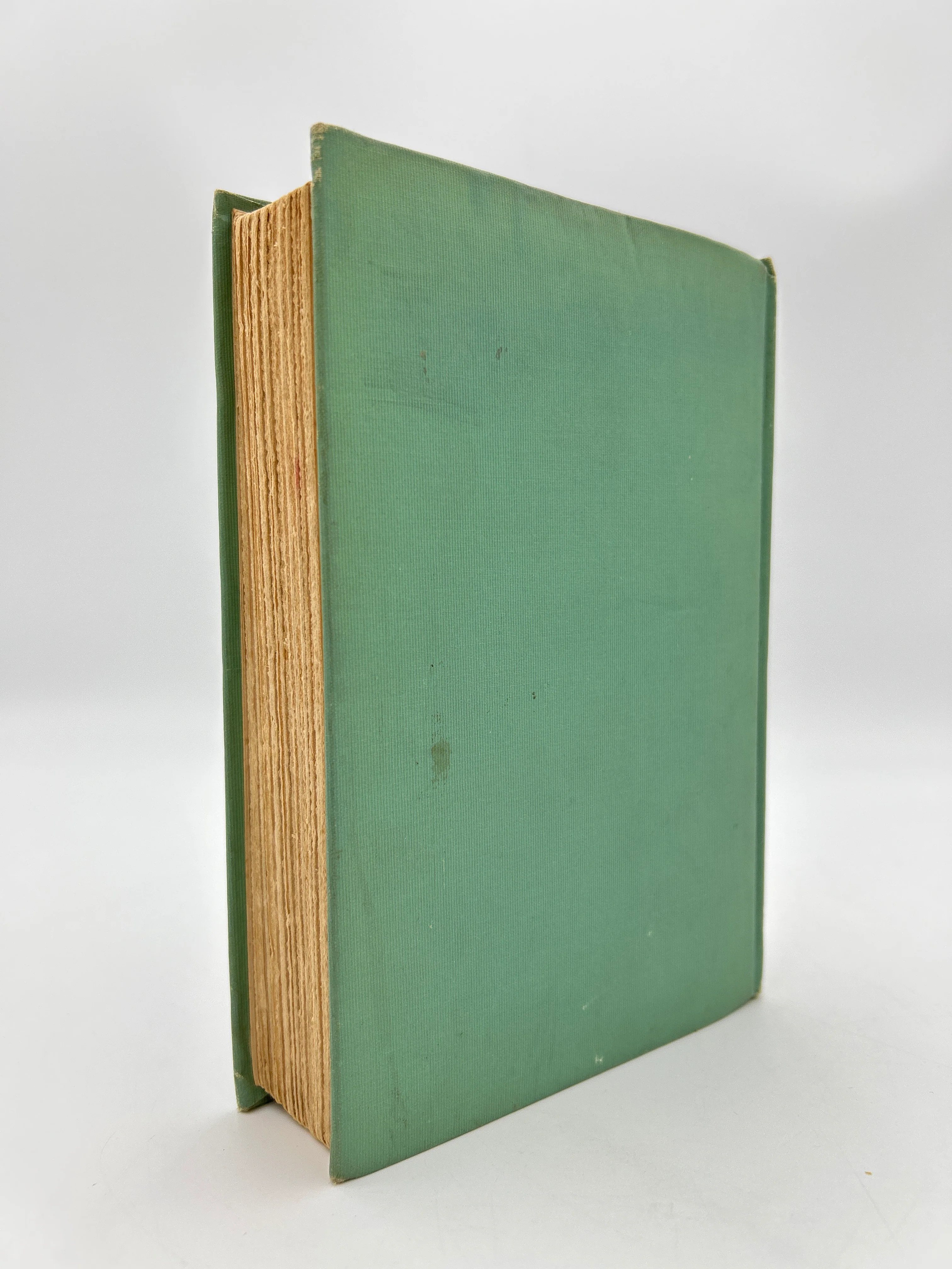 Anne of Green Gables - Image 5