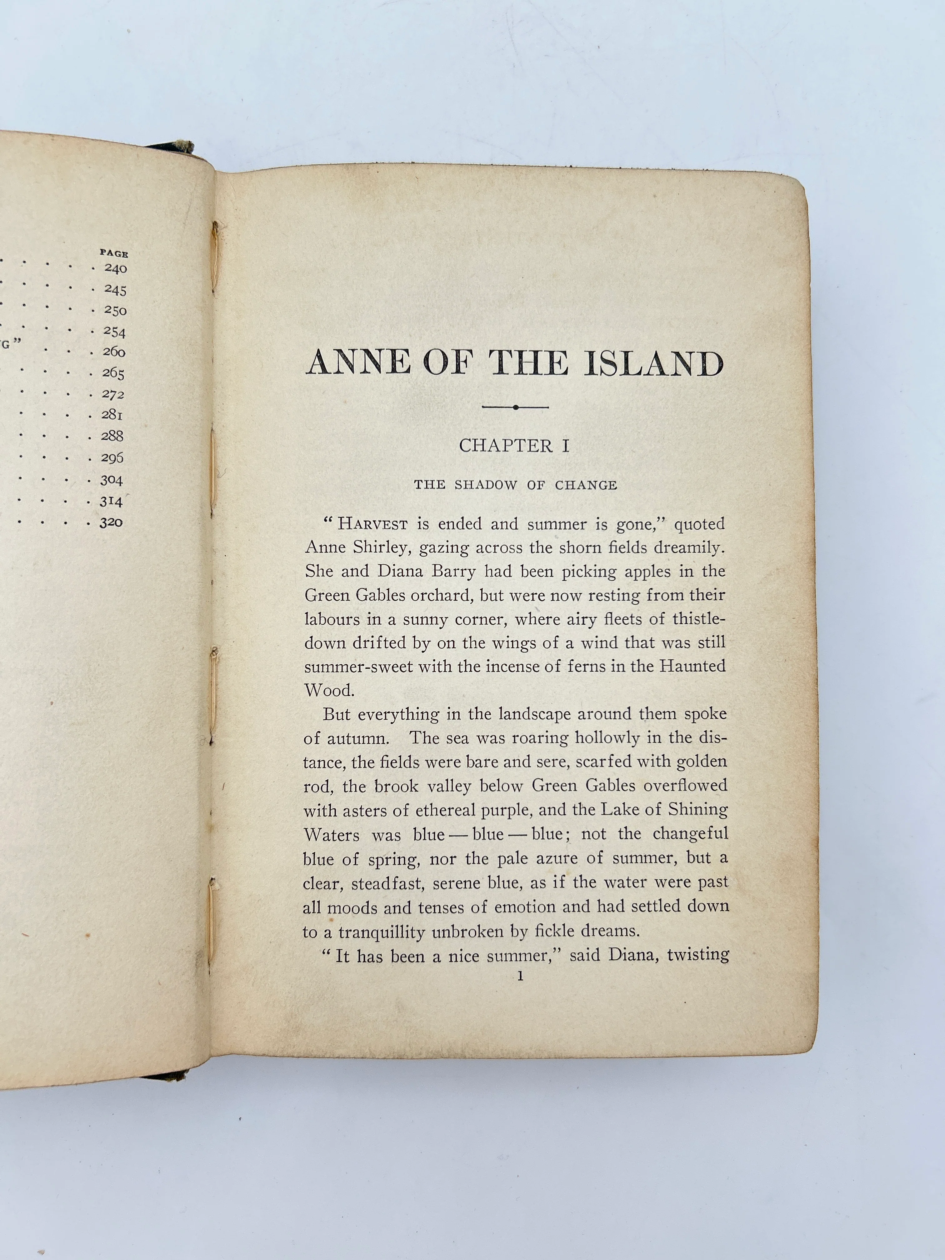 Anne of The Island - Image 3