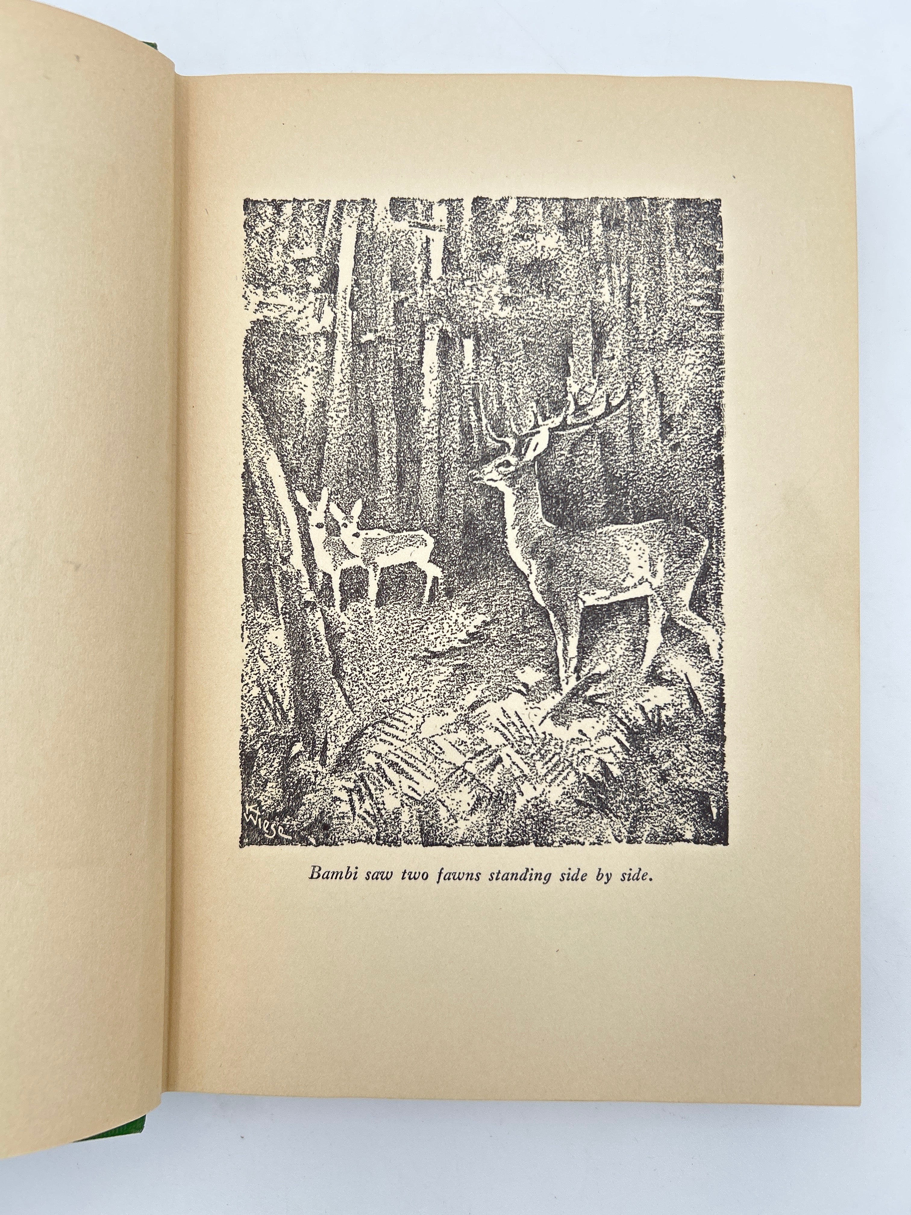 Bambi - Image 3