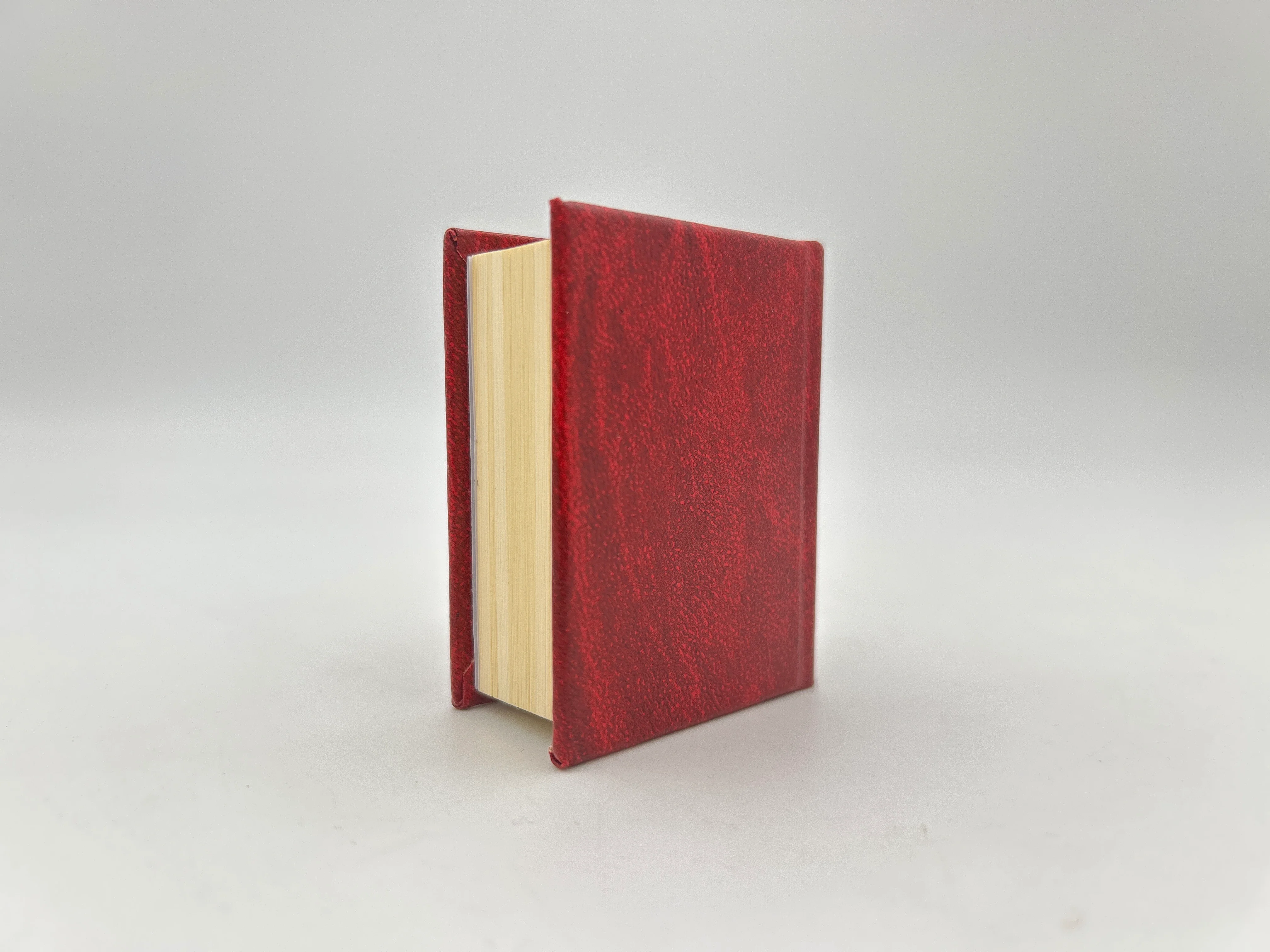 Beowulf in Miniature - Image 2