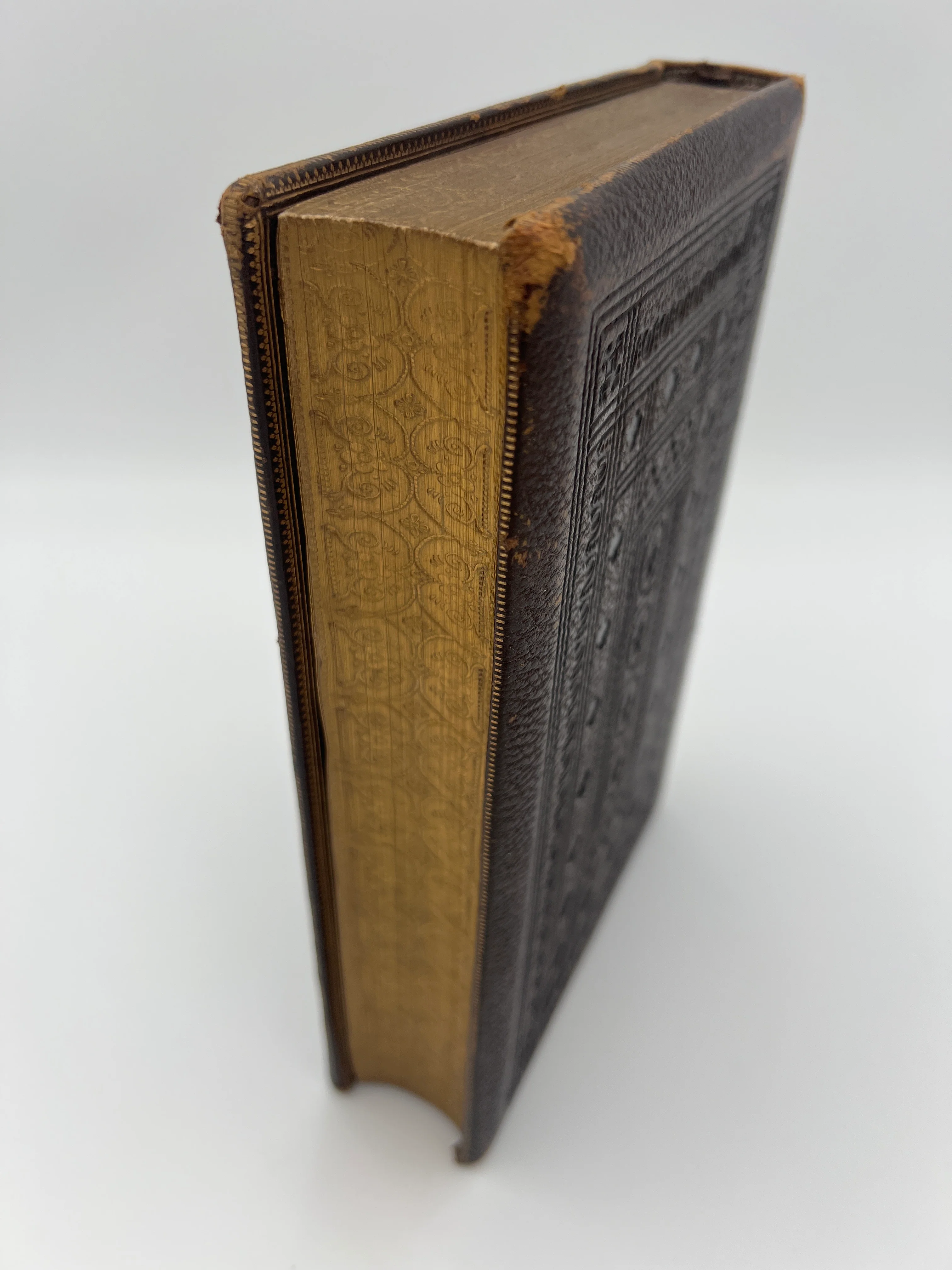 Holy Bible - Image 4