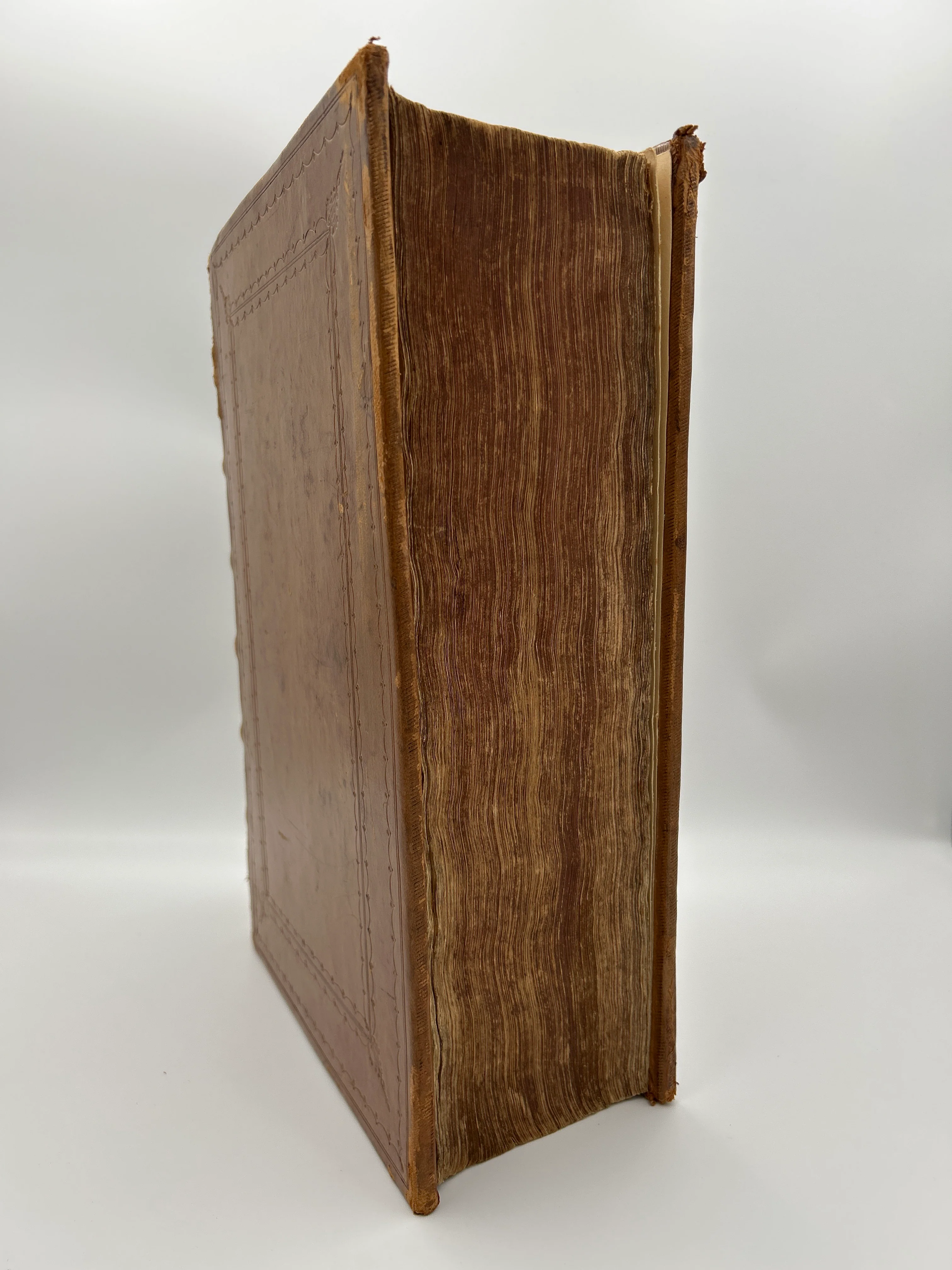 Bishops’ Bible 1585 - Image 3