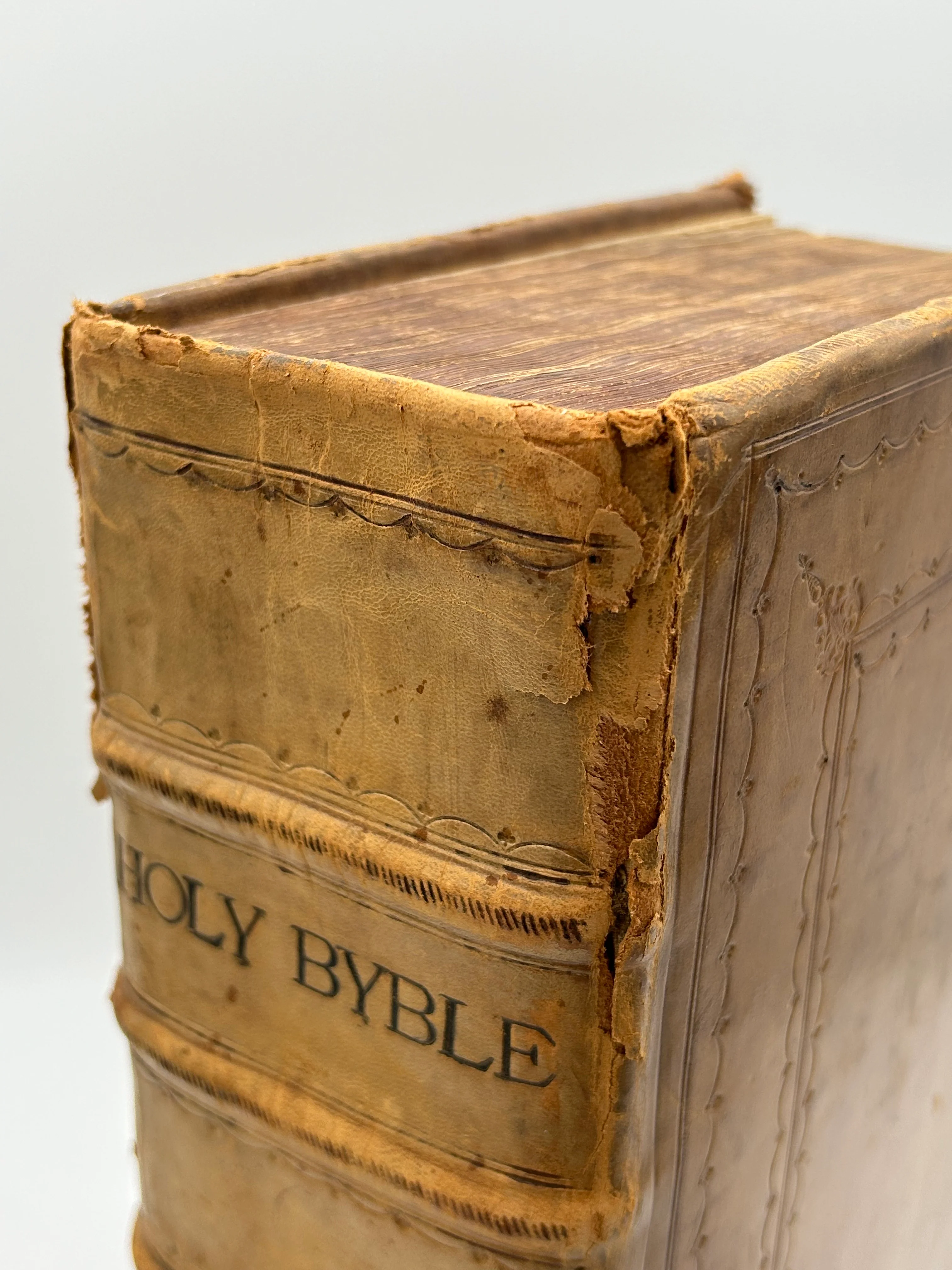 Bishops’ Bible 1585 - Image 5
