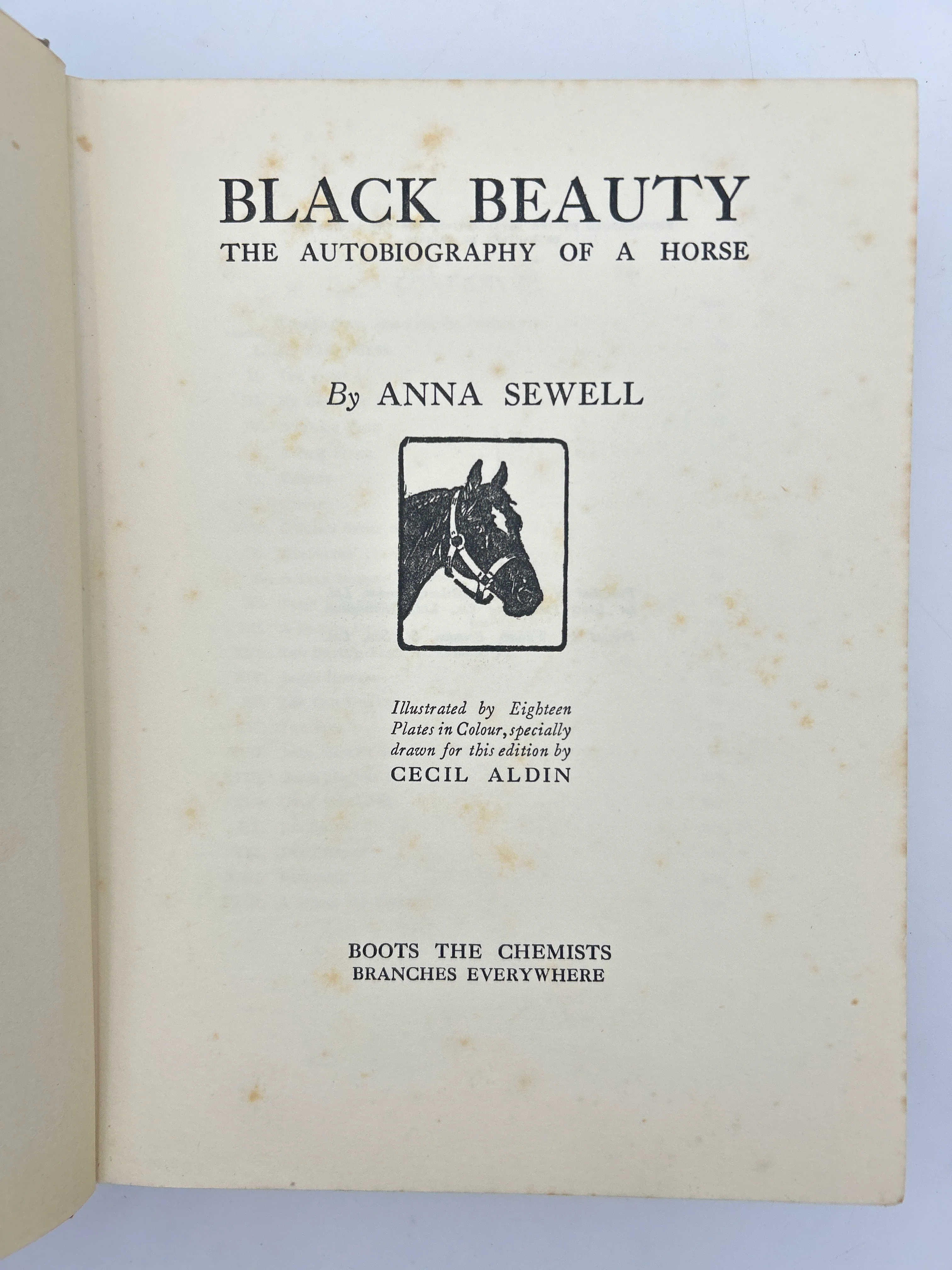 Black Beauty - Image 2