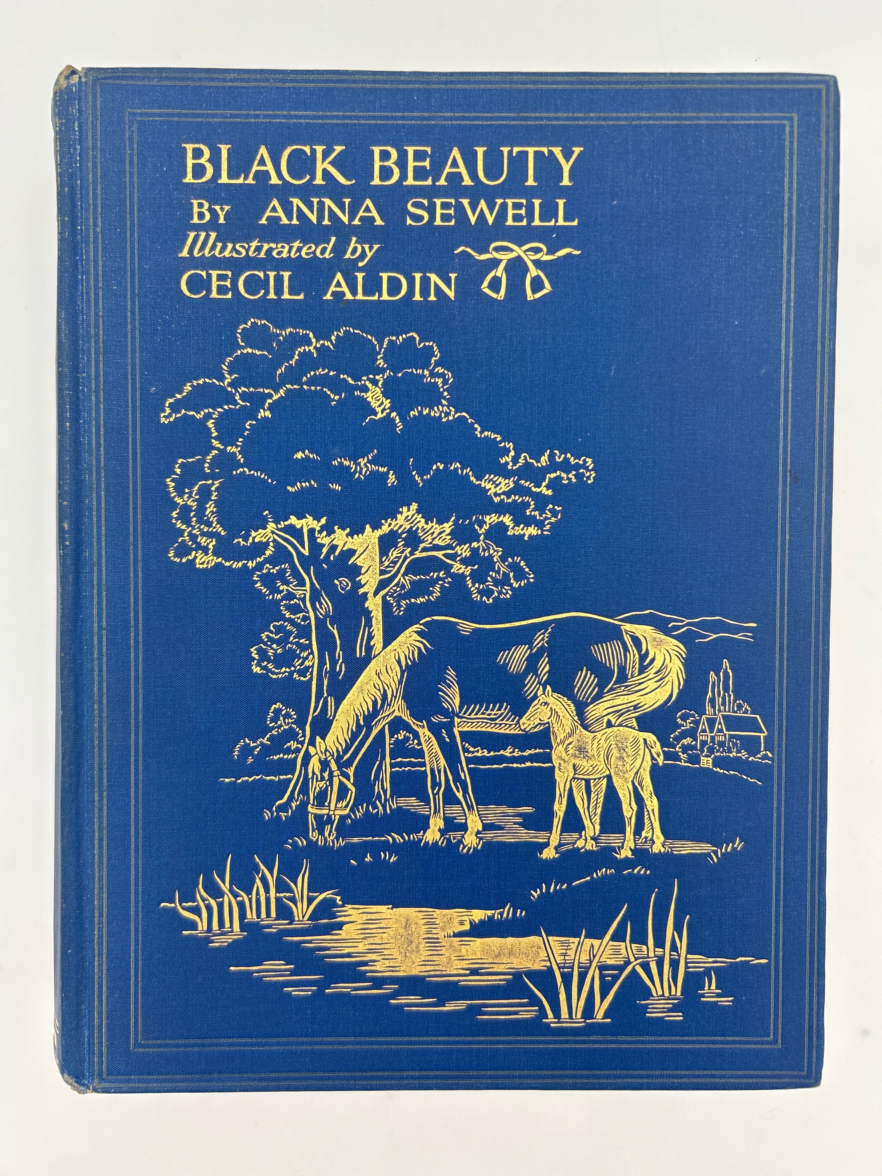 Black Beauty - Image 5