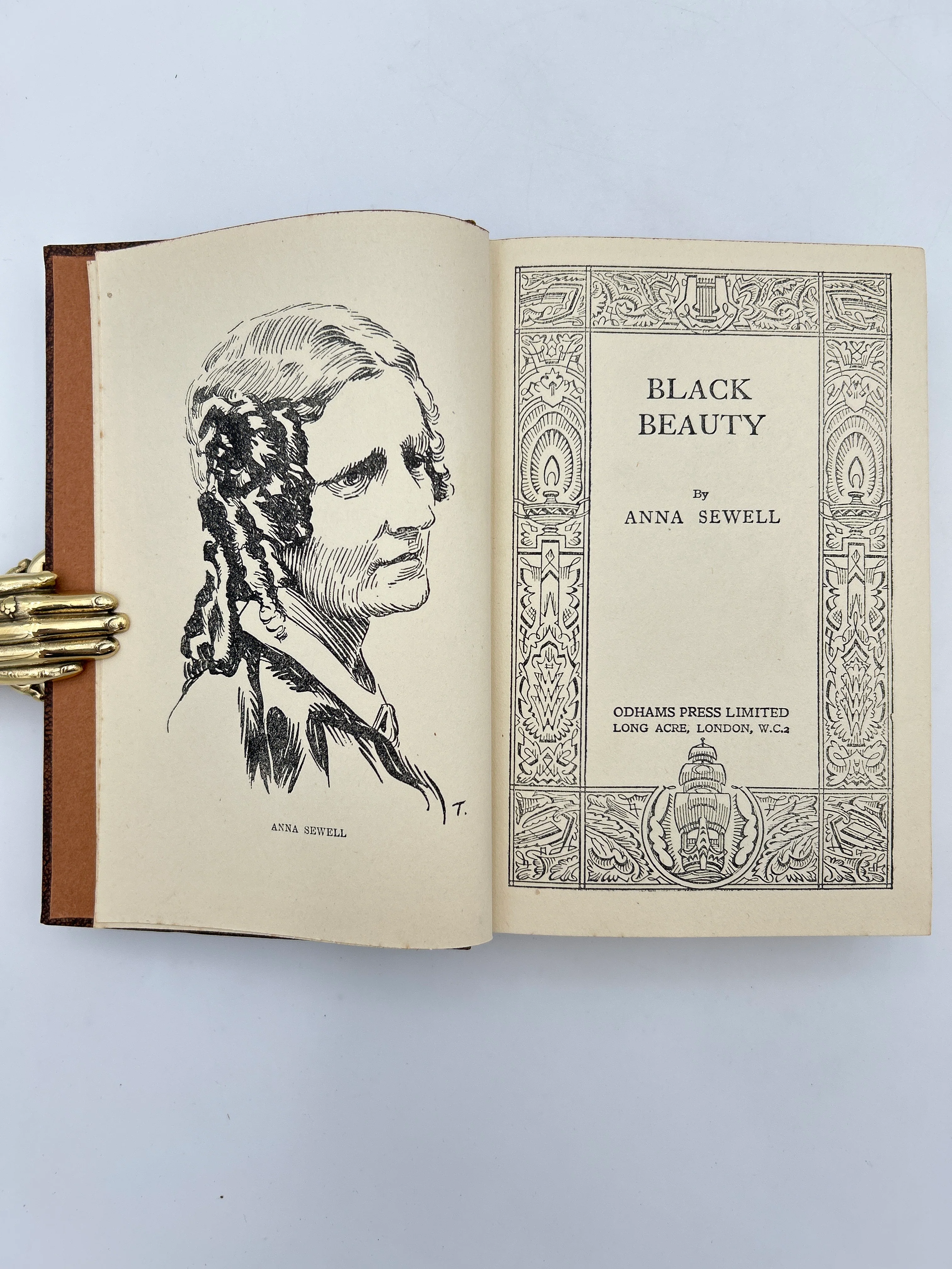 Black Beauty - Image 2