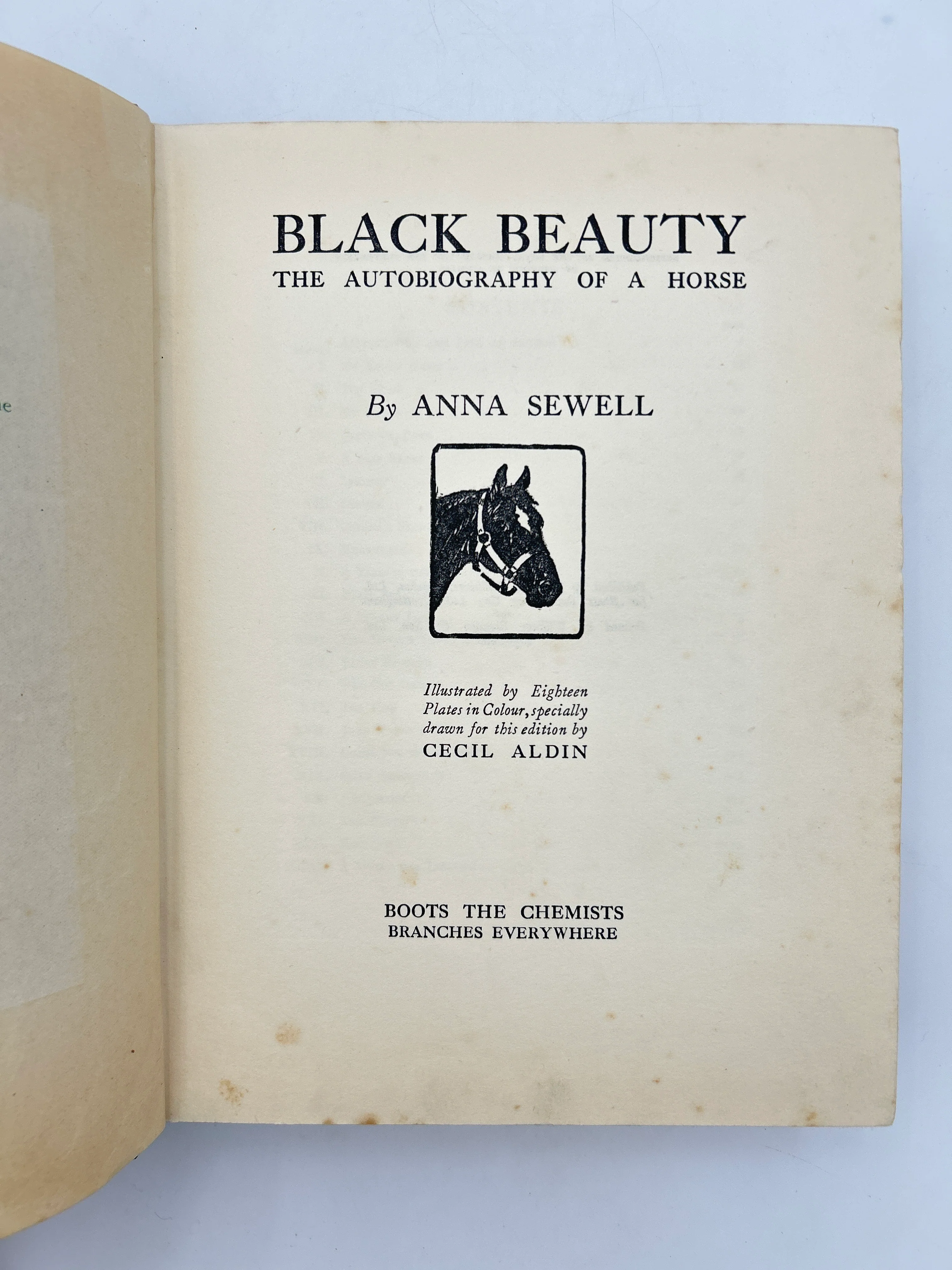 Black Beauty - Image 2