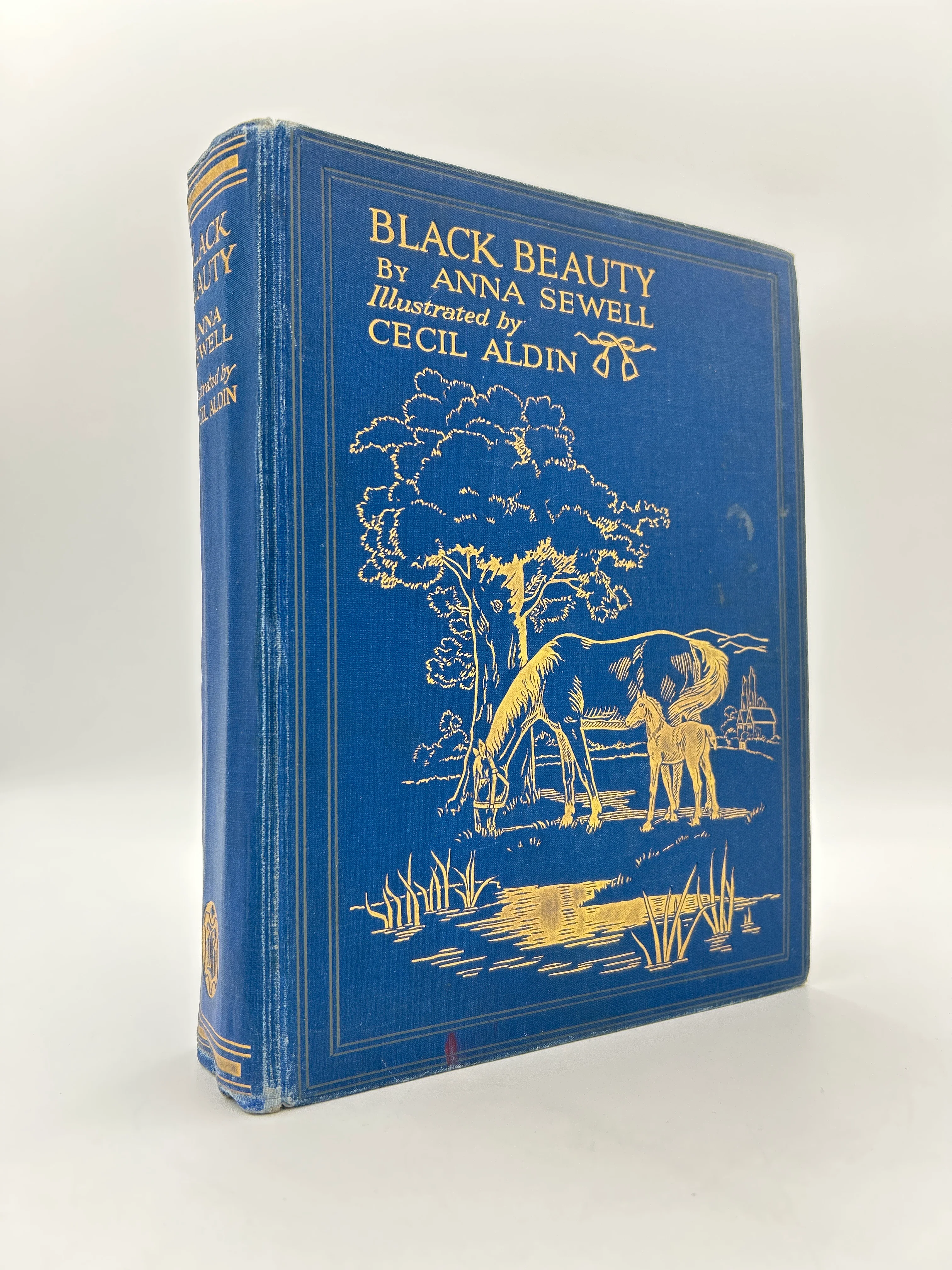 Black Beauty - Image 5