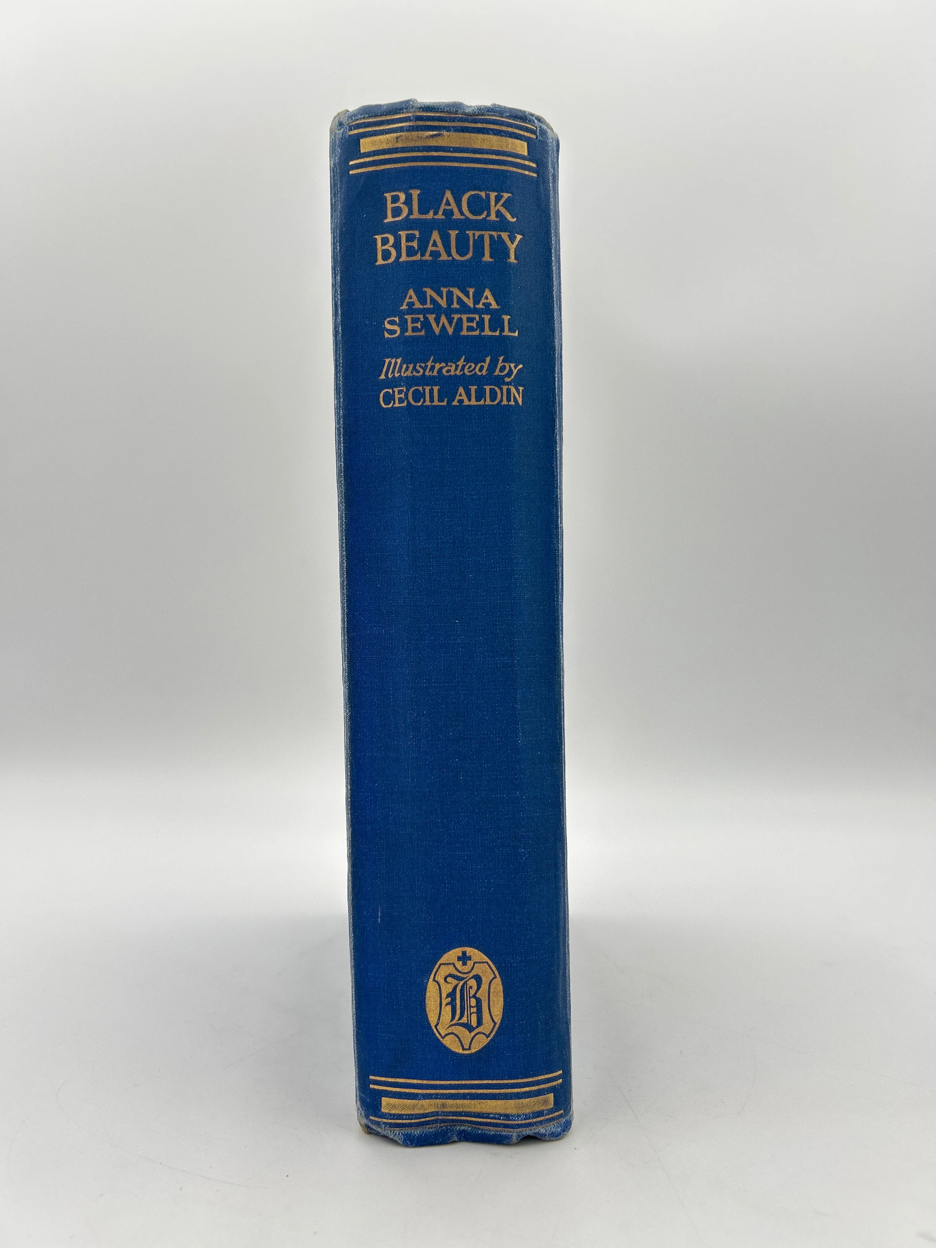 Black Beauty - Image 6