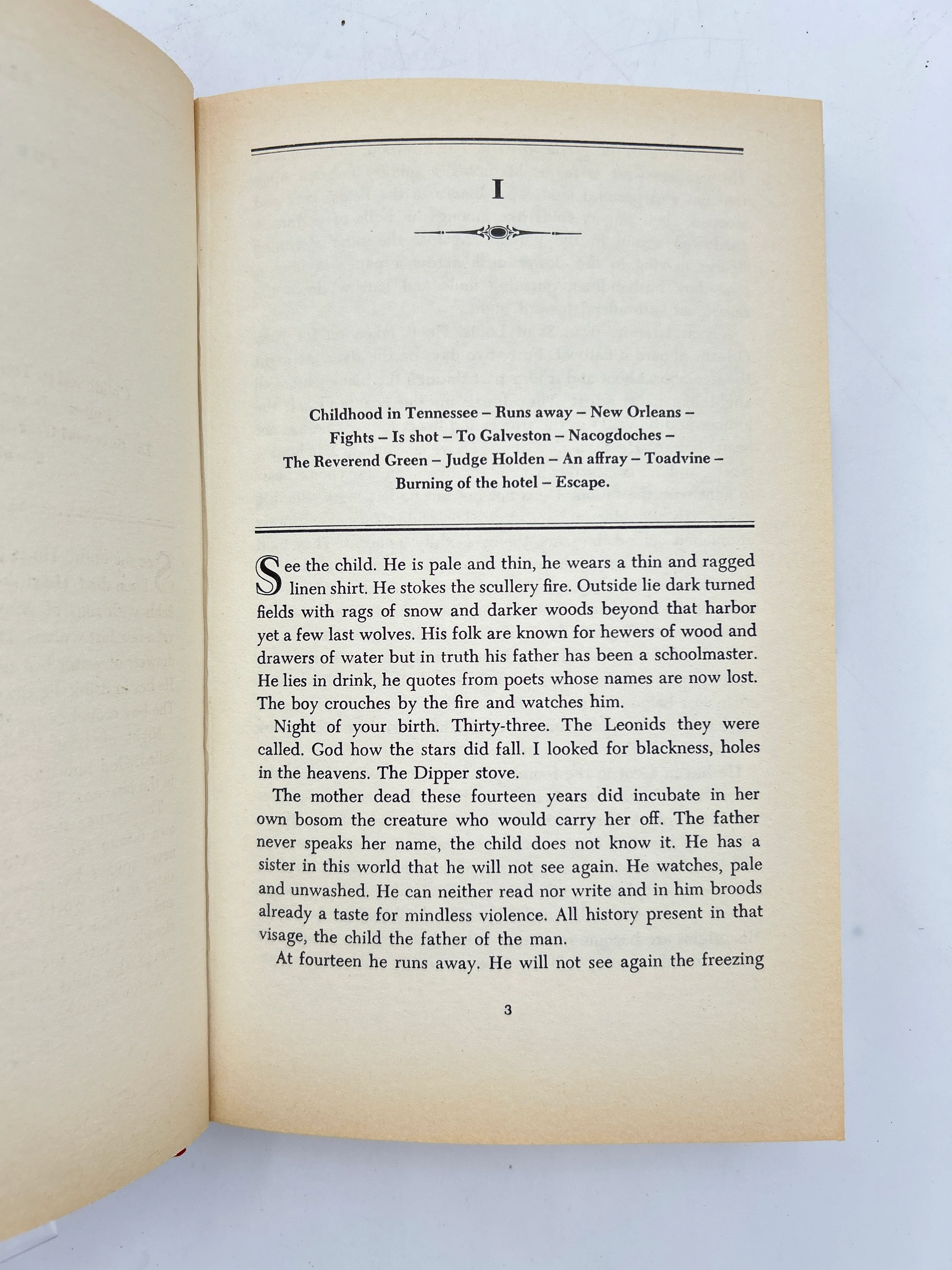 Blood Meridian or the Evening Redness in the West - Image 5