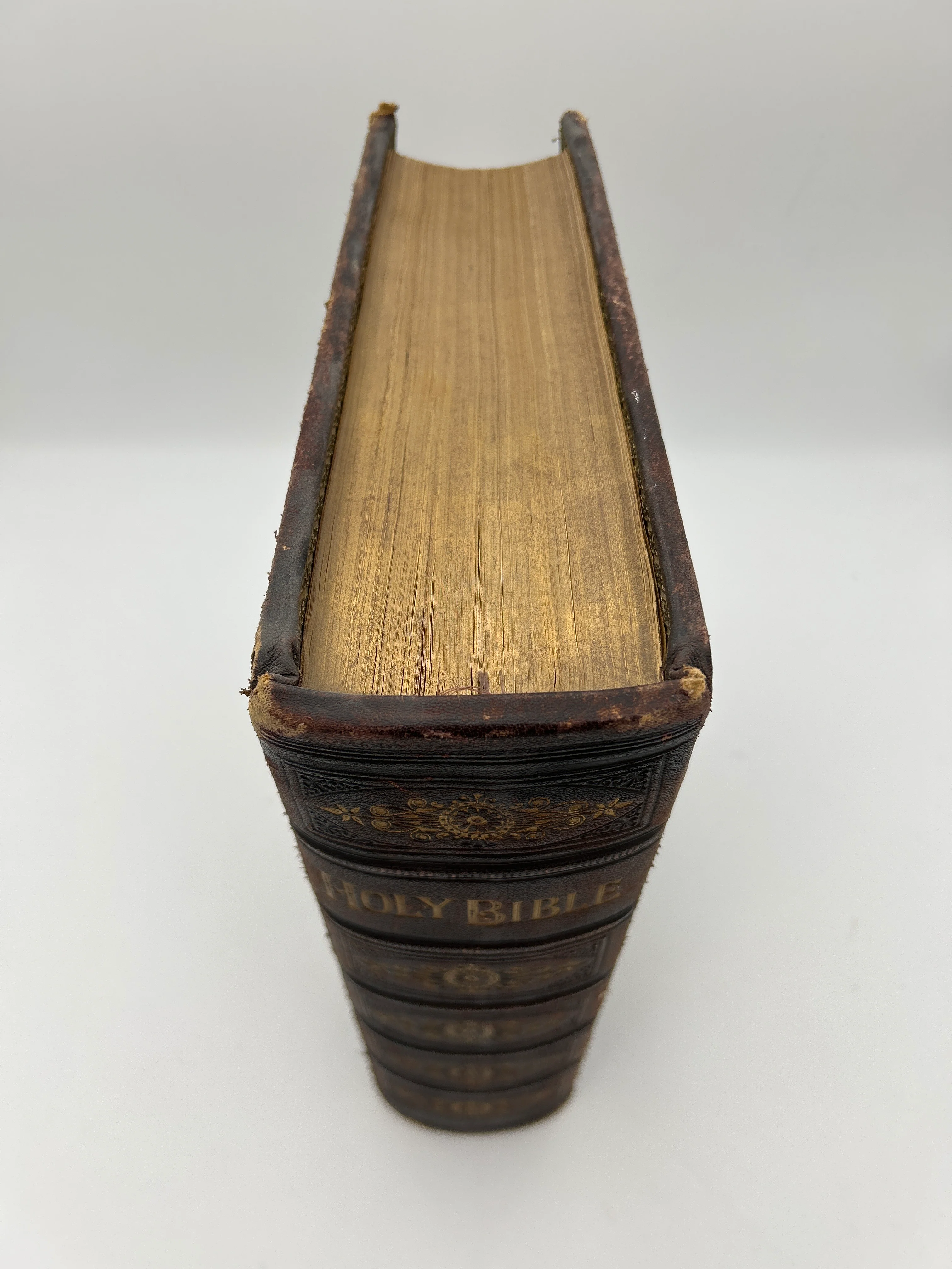 Catholic Family Bible 1884 - Image 12