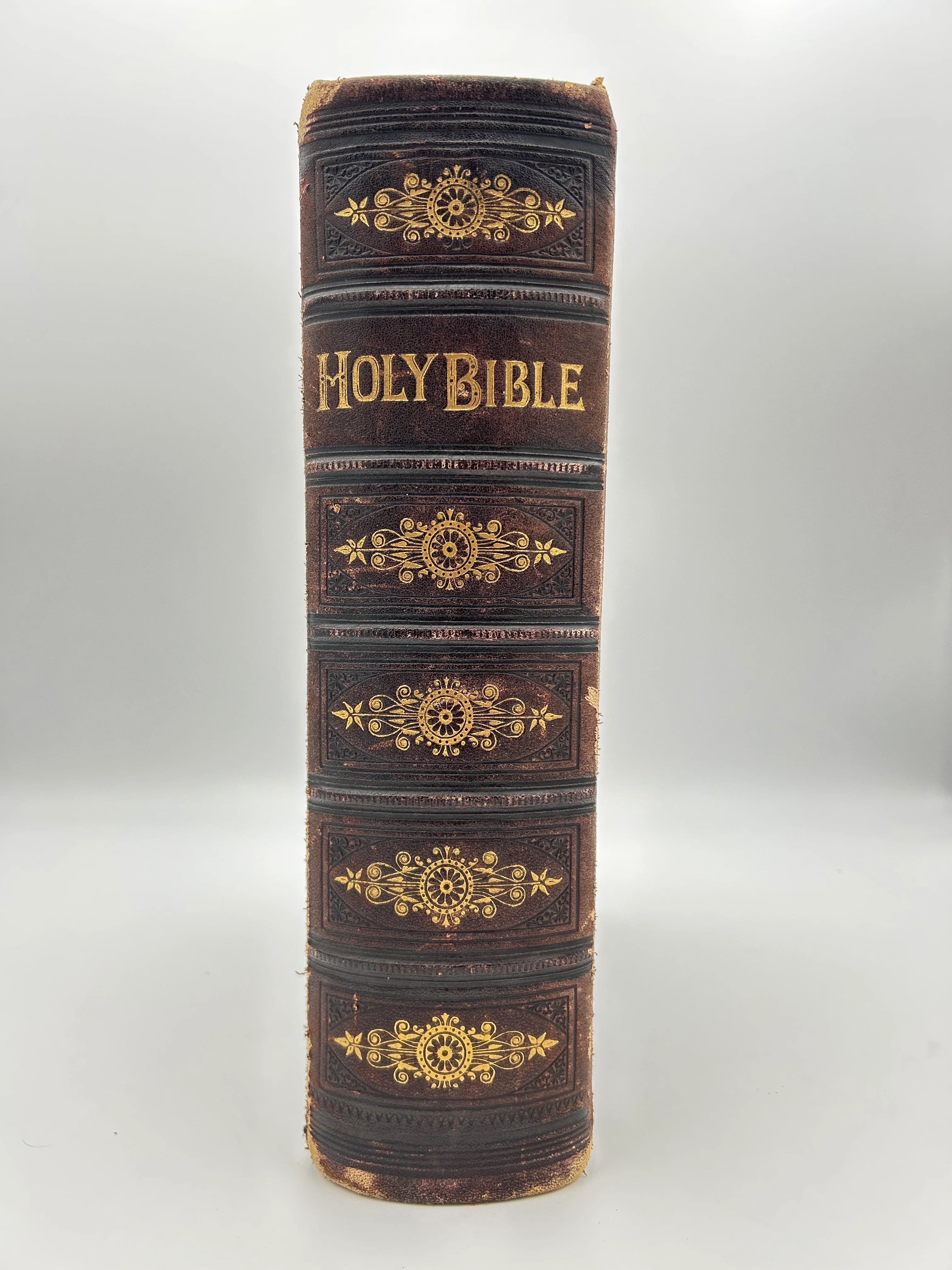Catholic Family Bible 1884 - Image 14