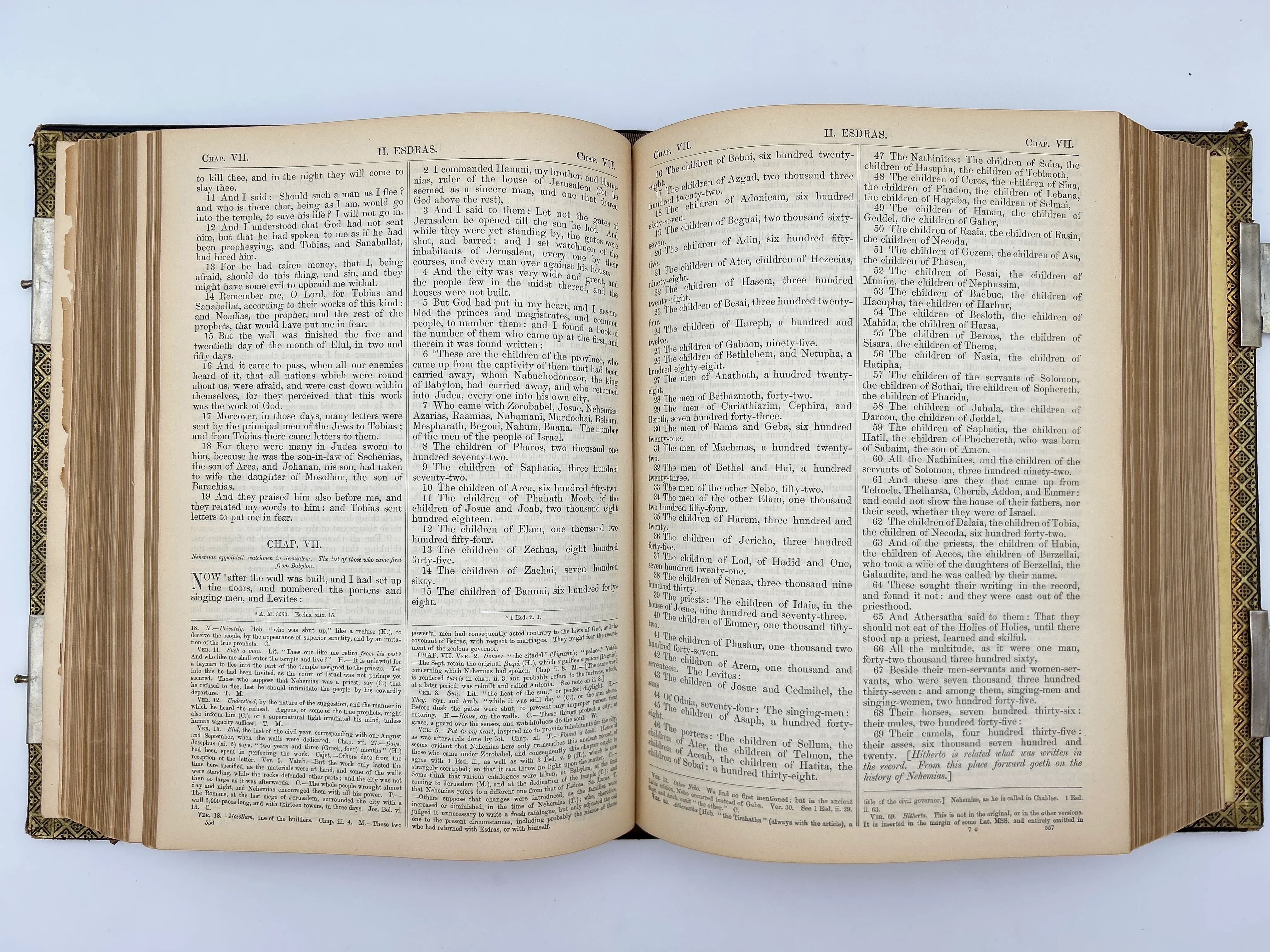 Catholic Family Bible 1884 - Image 6