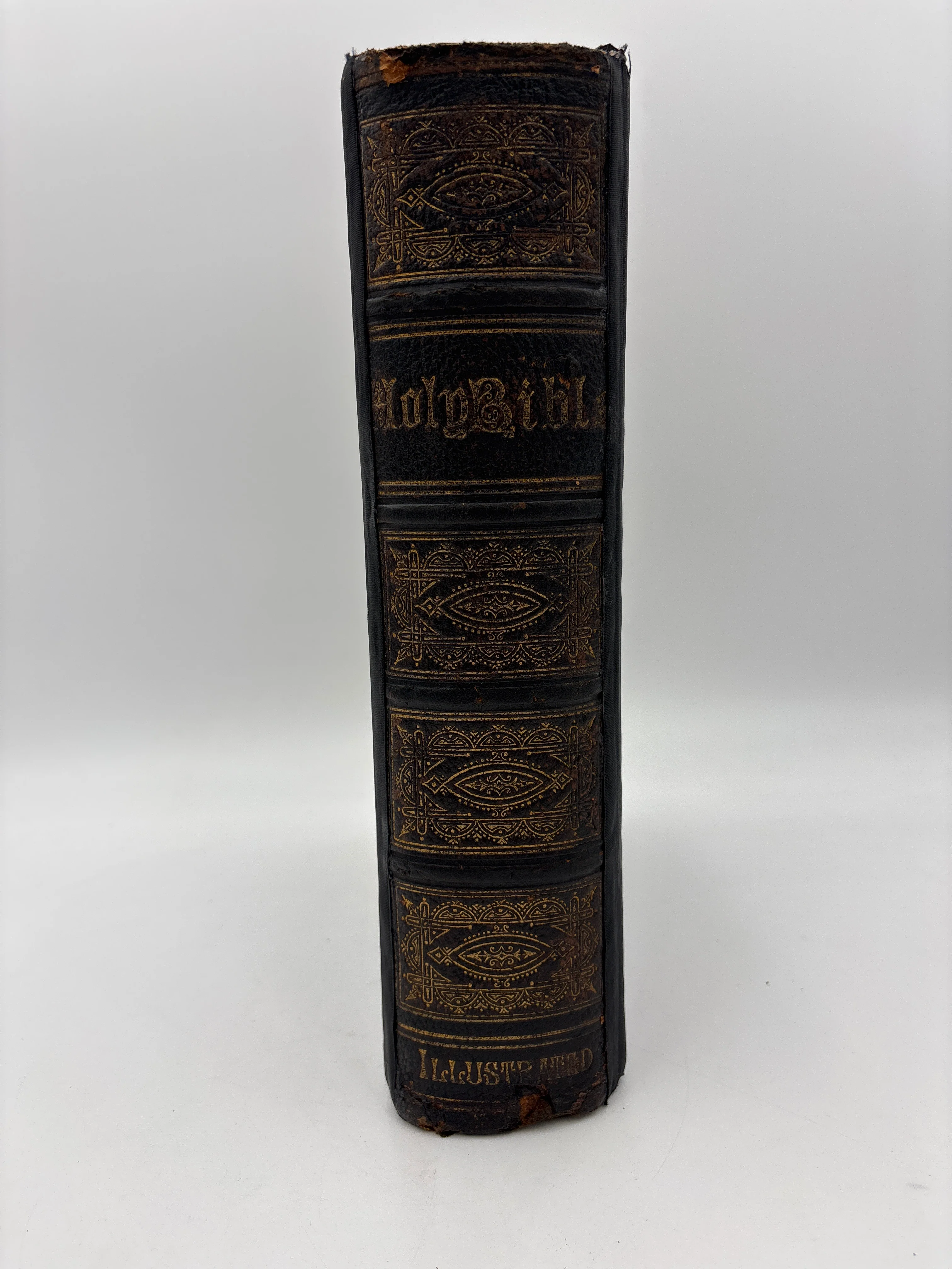 Catholic Holy Bible (1865) - Image 2