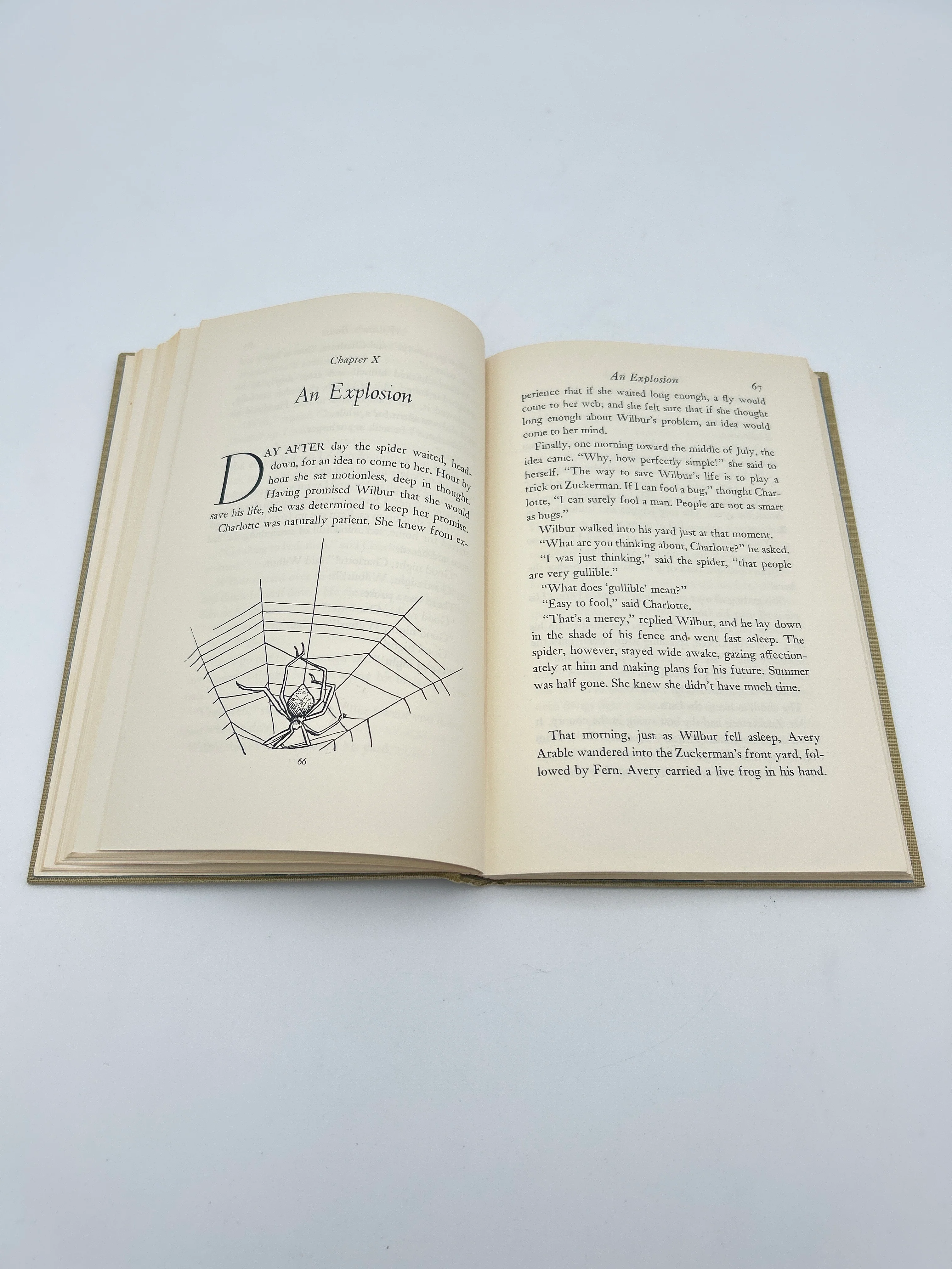 Charlotte's Web - Image 5