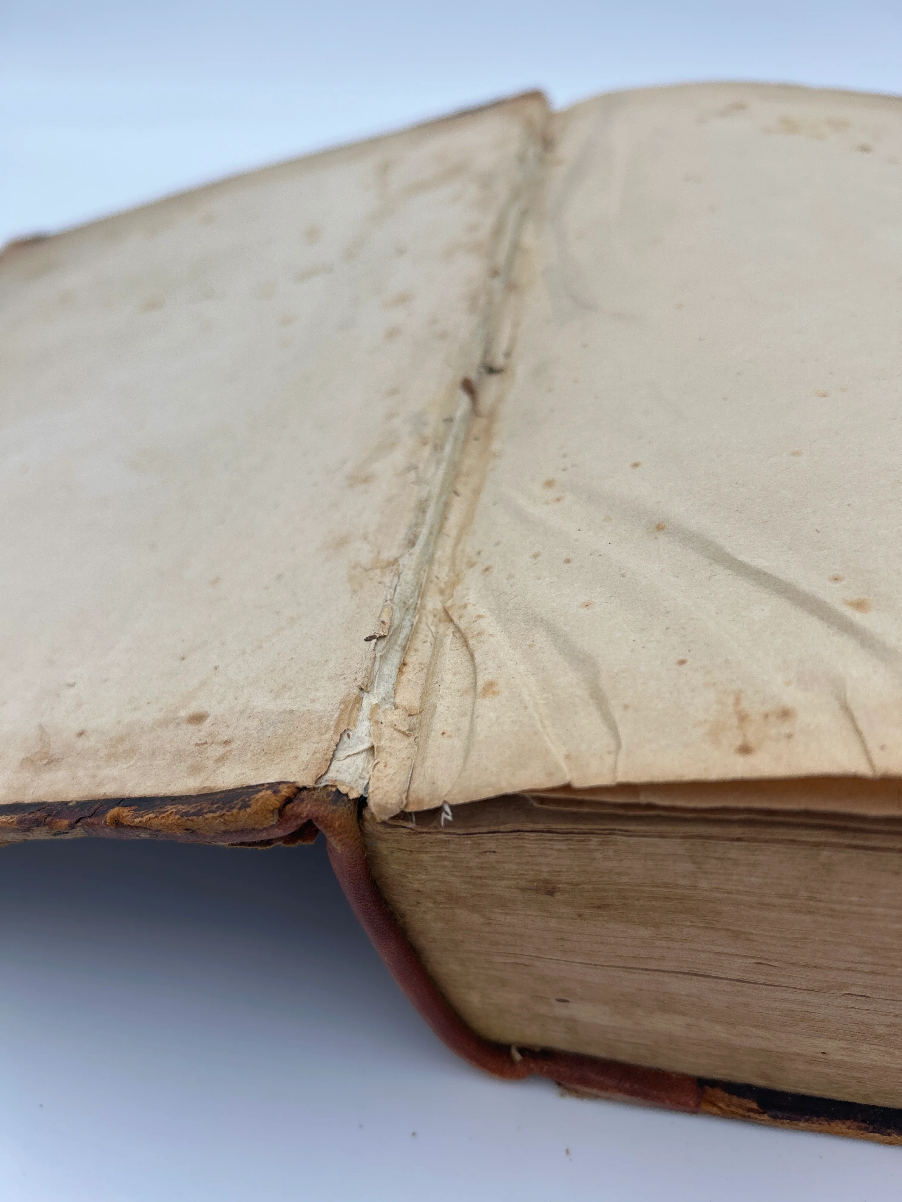 Cooperstown Bible 1827 - Image 6