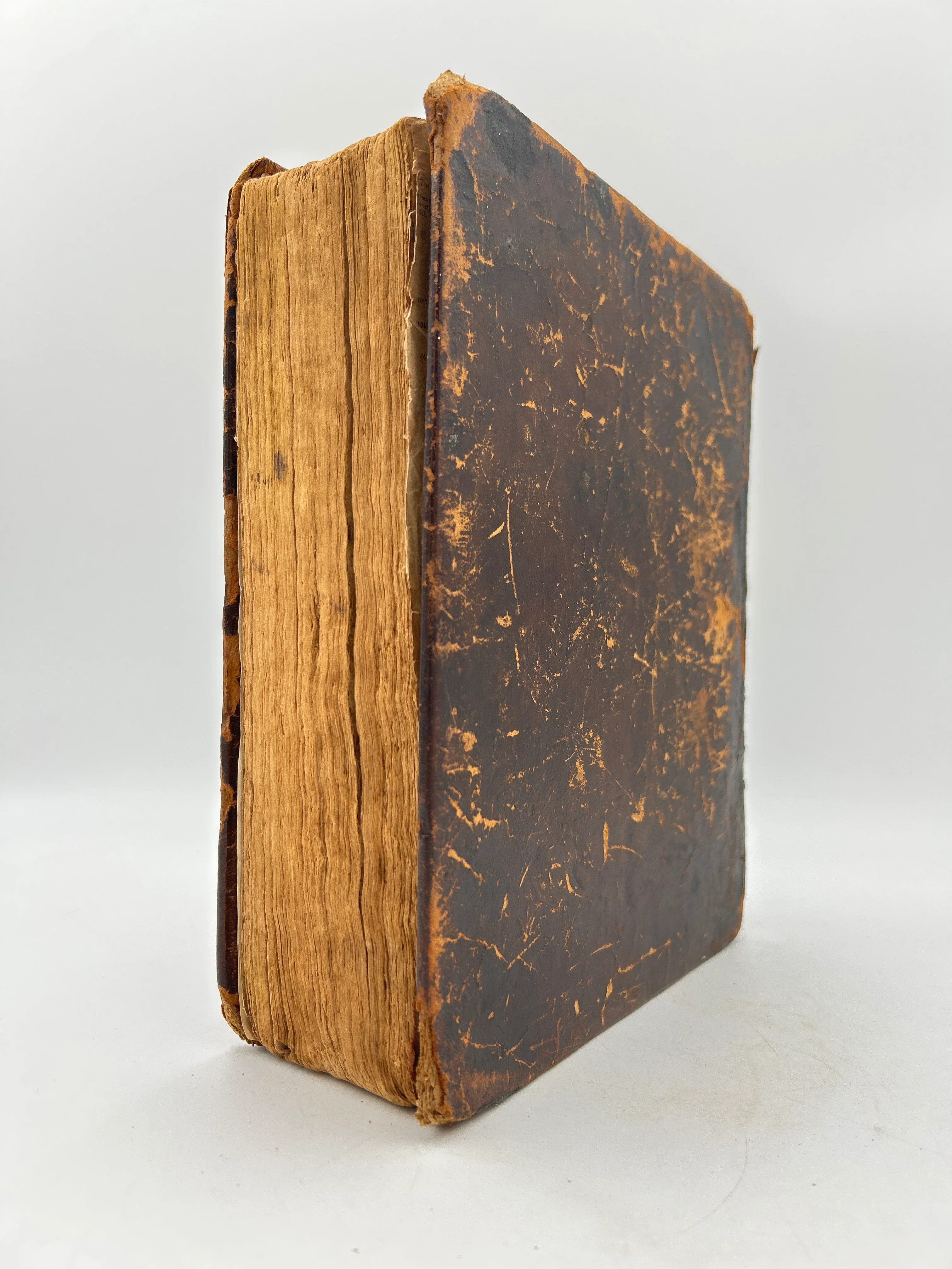 Copperstown Bible 1828 - Image 12