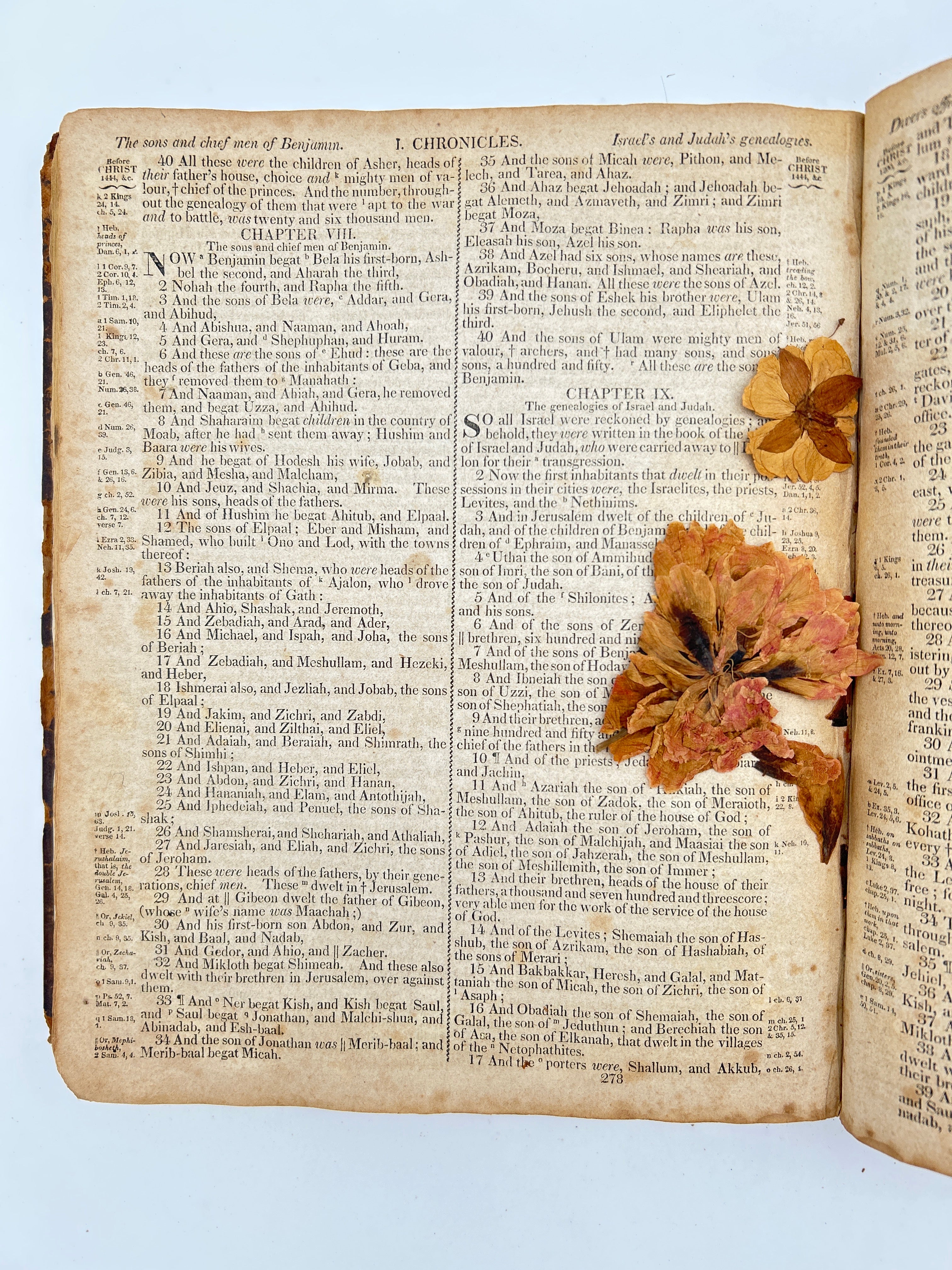 Copperstown Bible 1828 - Image 9