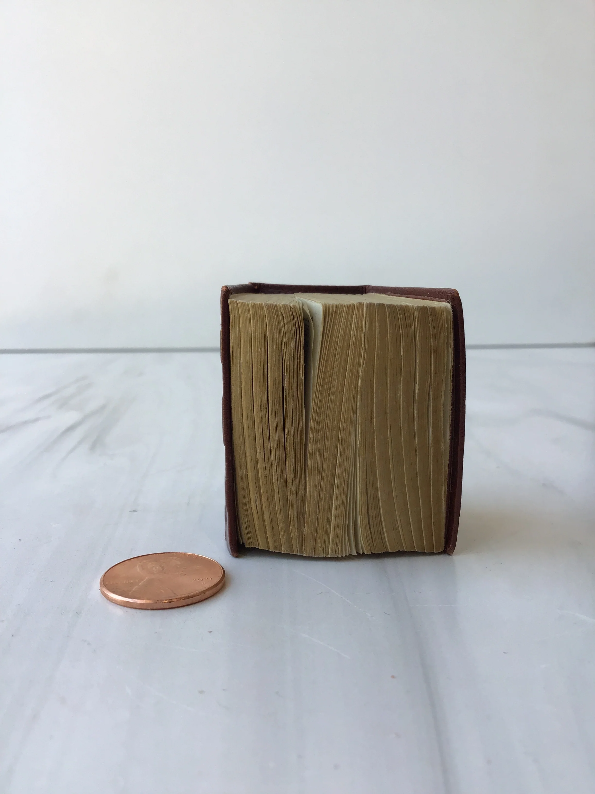 Coronation Miniature Bible - Image 4