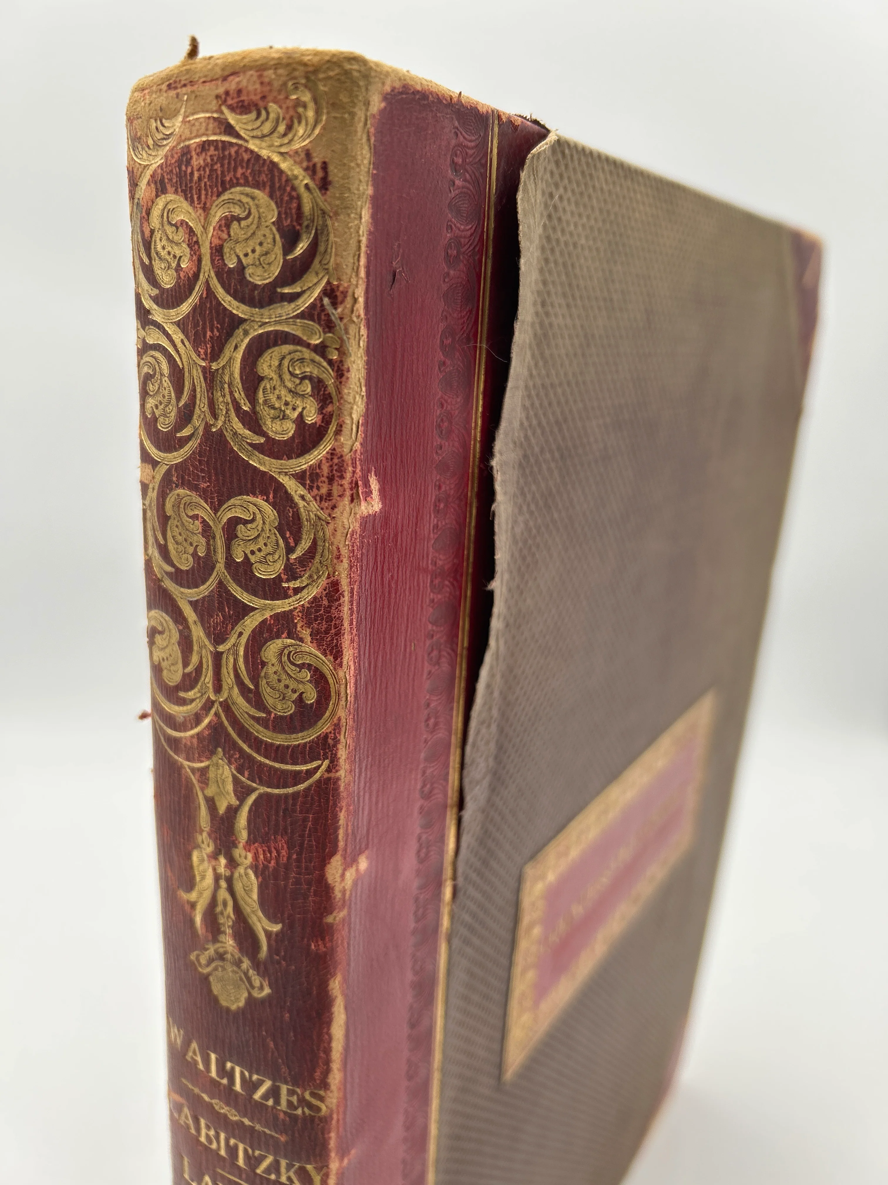 Countess of Uxbridge of the Twenty Eight Waltzes - Image 8