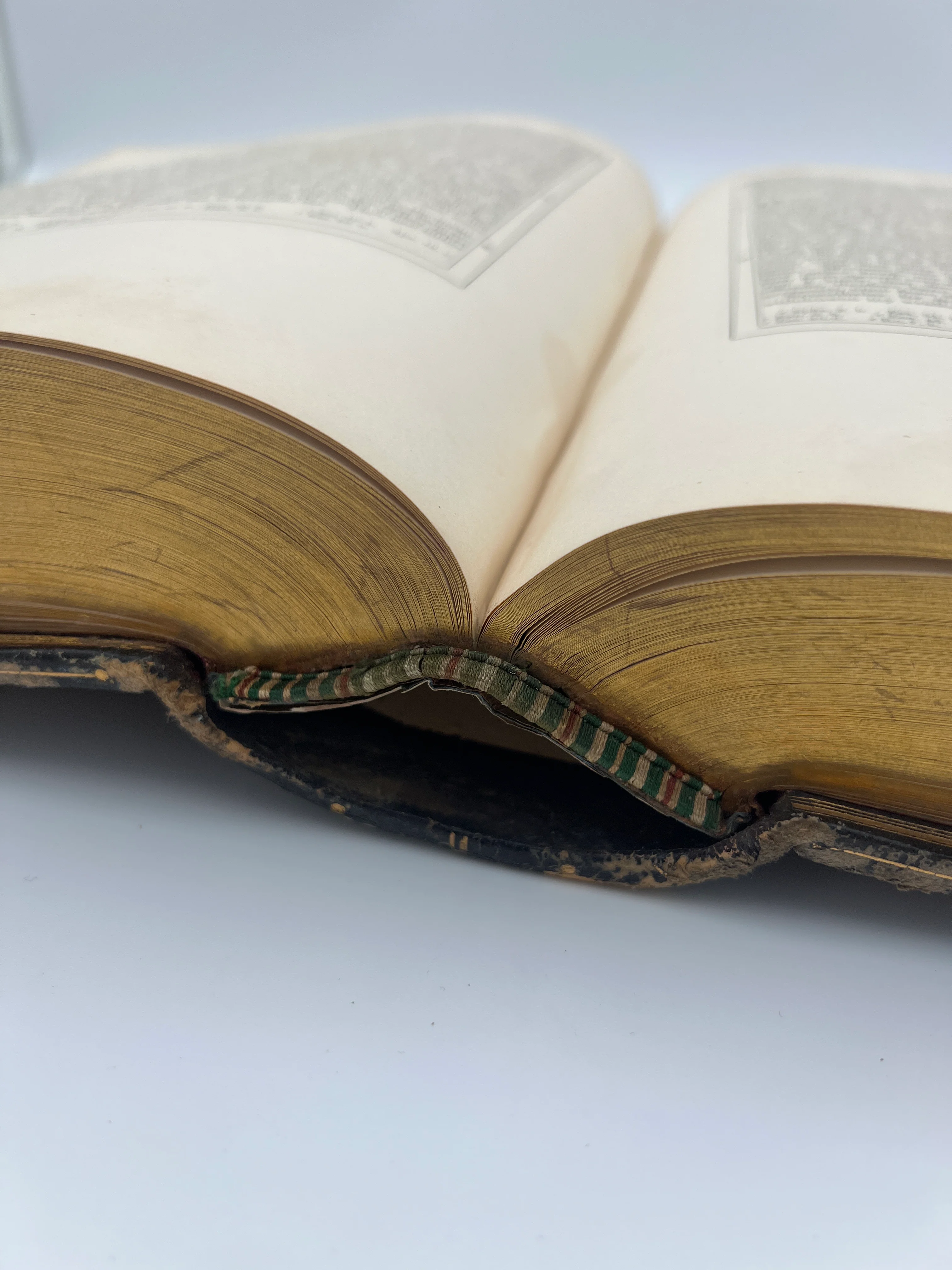 Coverdale Bible 1838 - Image 6