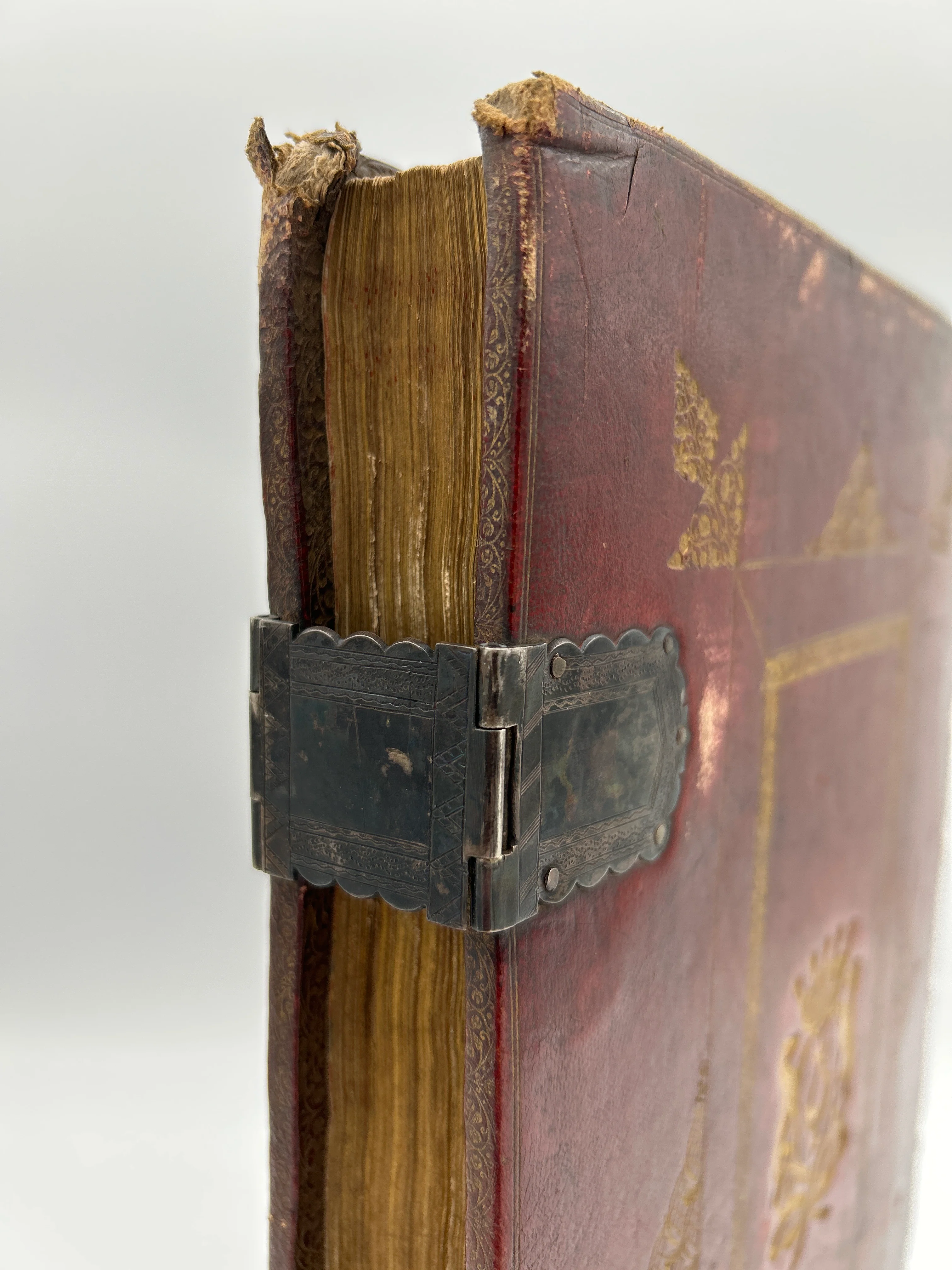 Daniel through Malachi, Apocrypha, and New Testament - Image 8