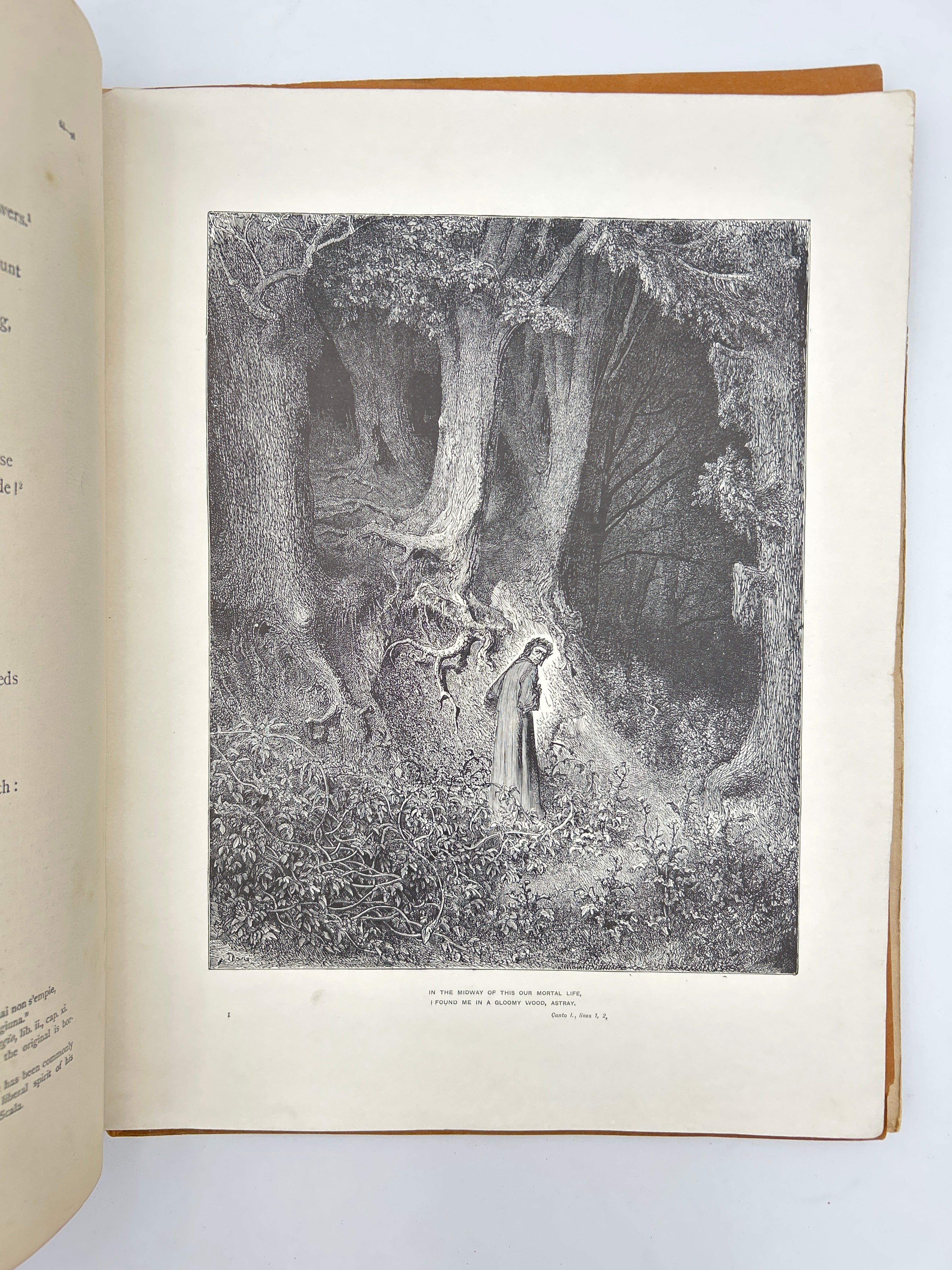 Dante Alighieri - Image 7