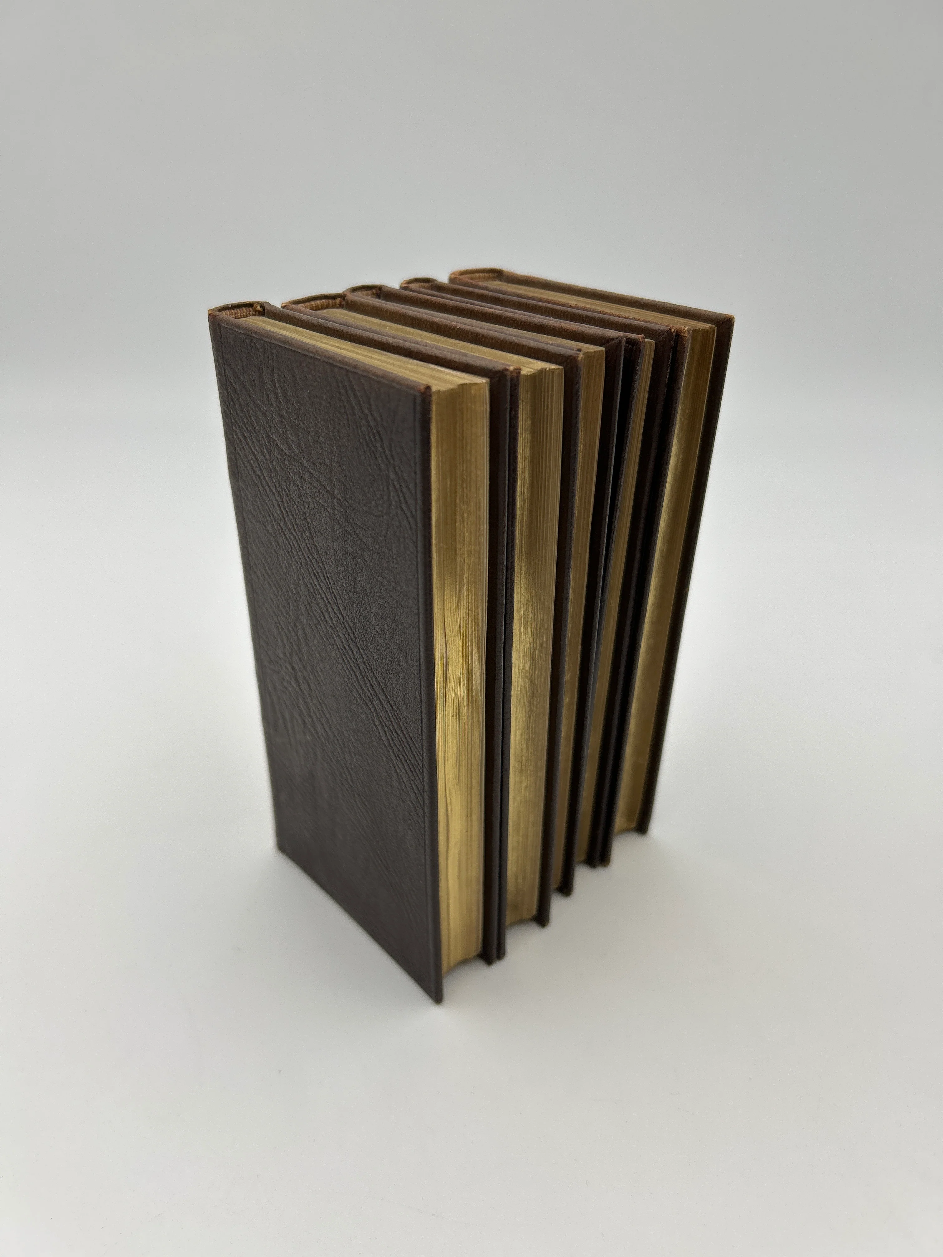 Dictionary library, English, Spanish, Italian, Latin, French - Image 10