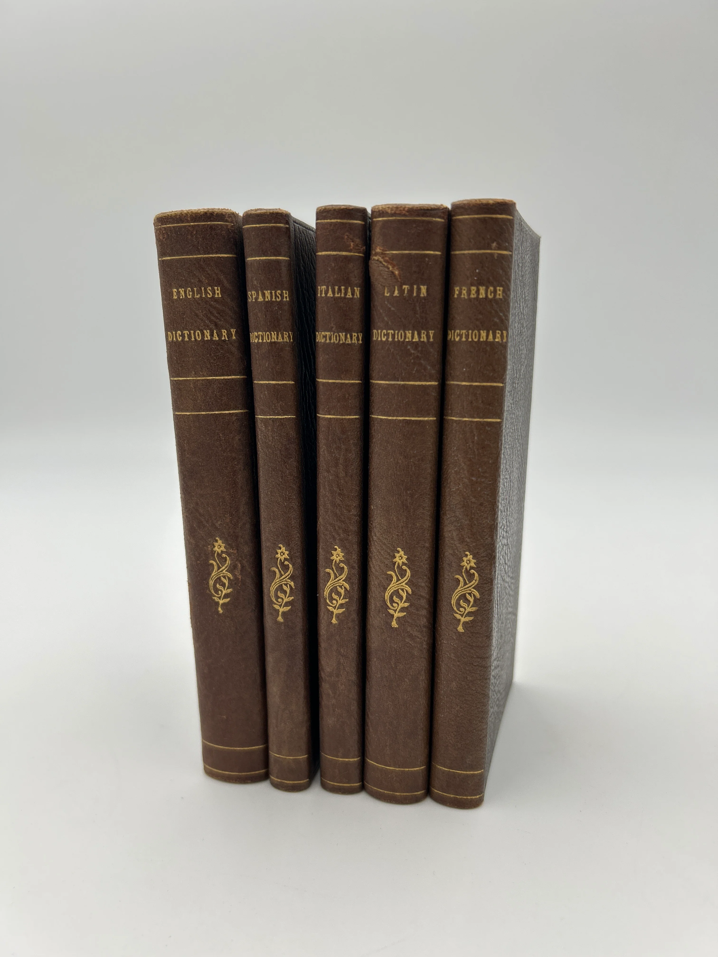 Dictionary library, English, Spanish, Italian, Latin, French - Image 9