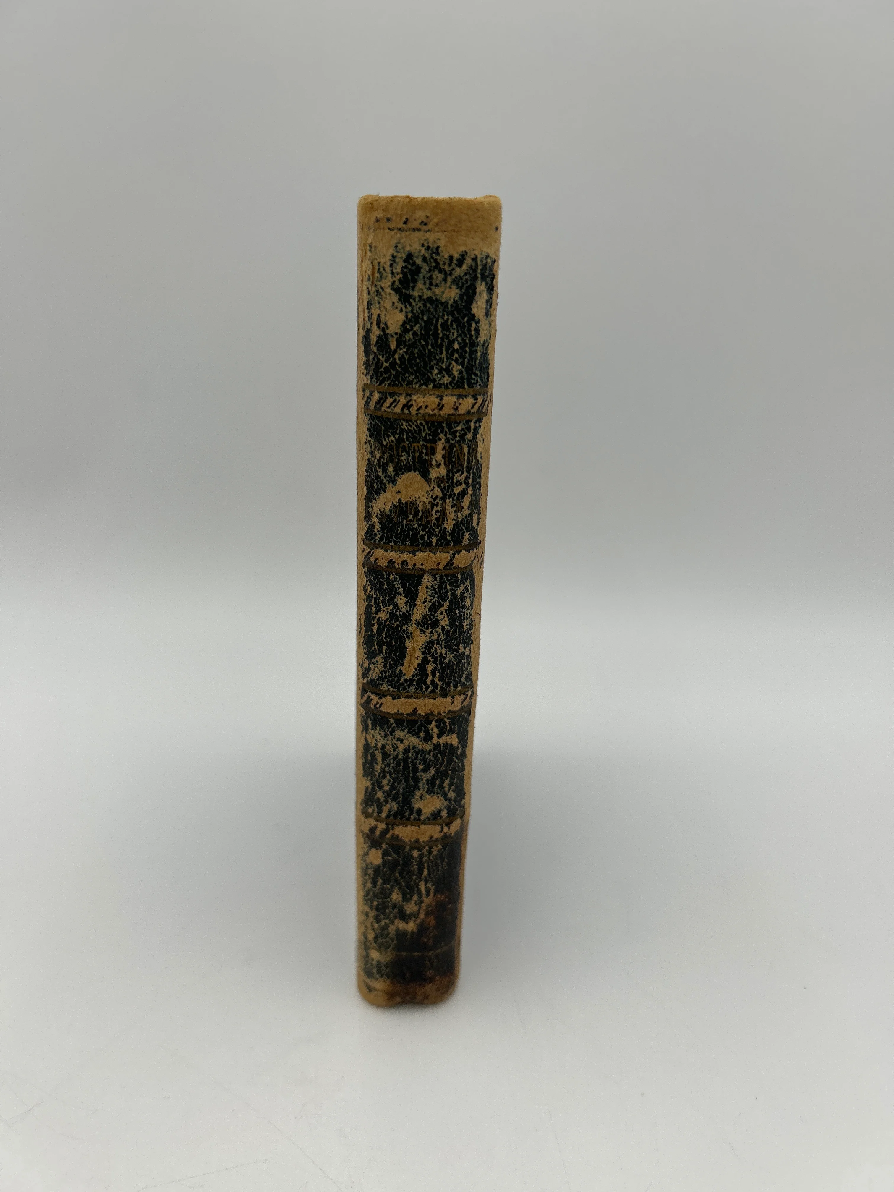 Doctrine and Covenants (1883) - Image 2