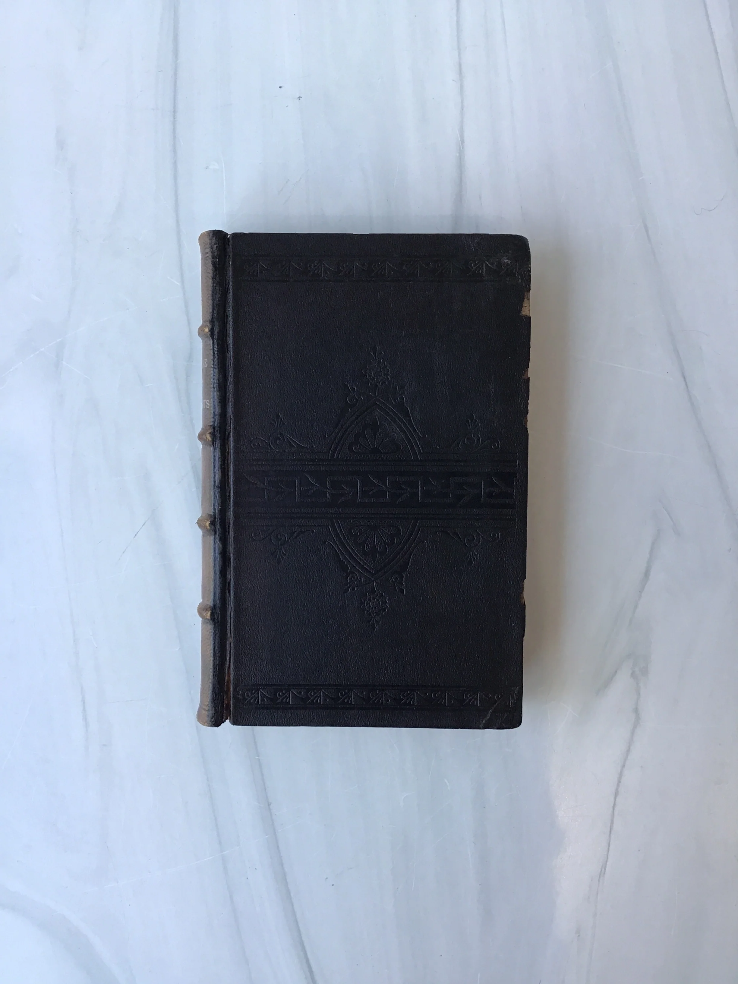 -Doctrine and Covenants* - Image 4