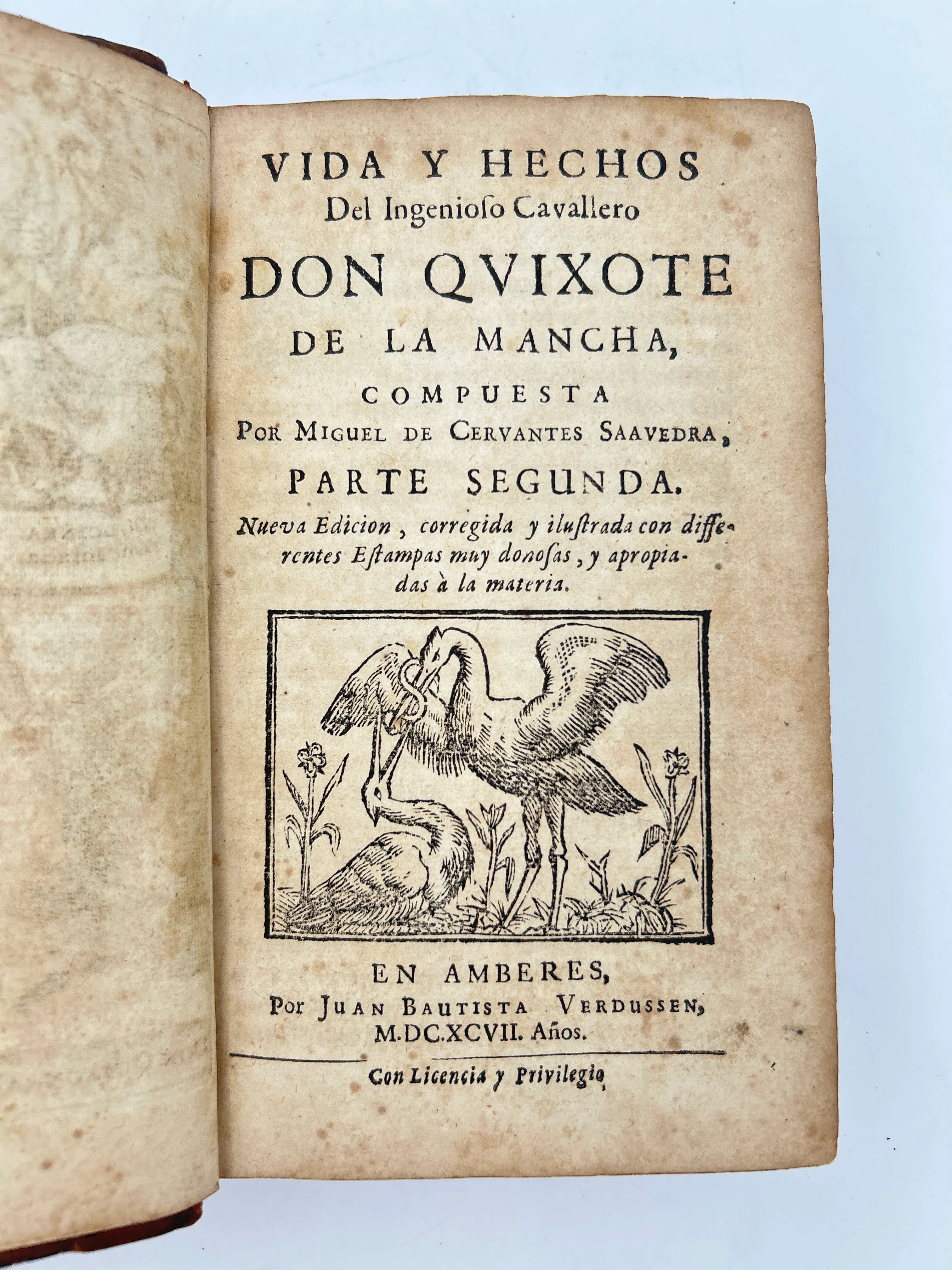 Don Quixote - Image 10