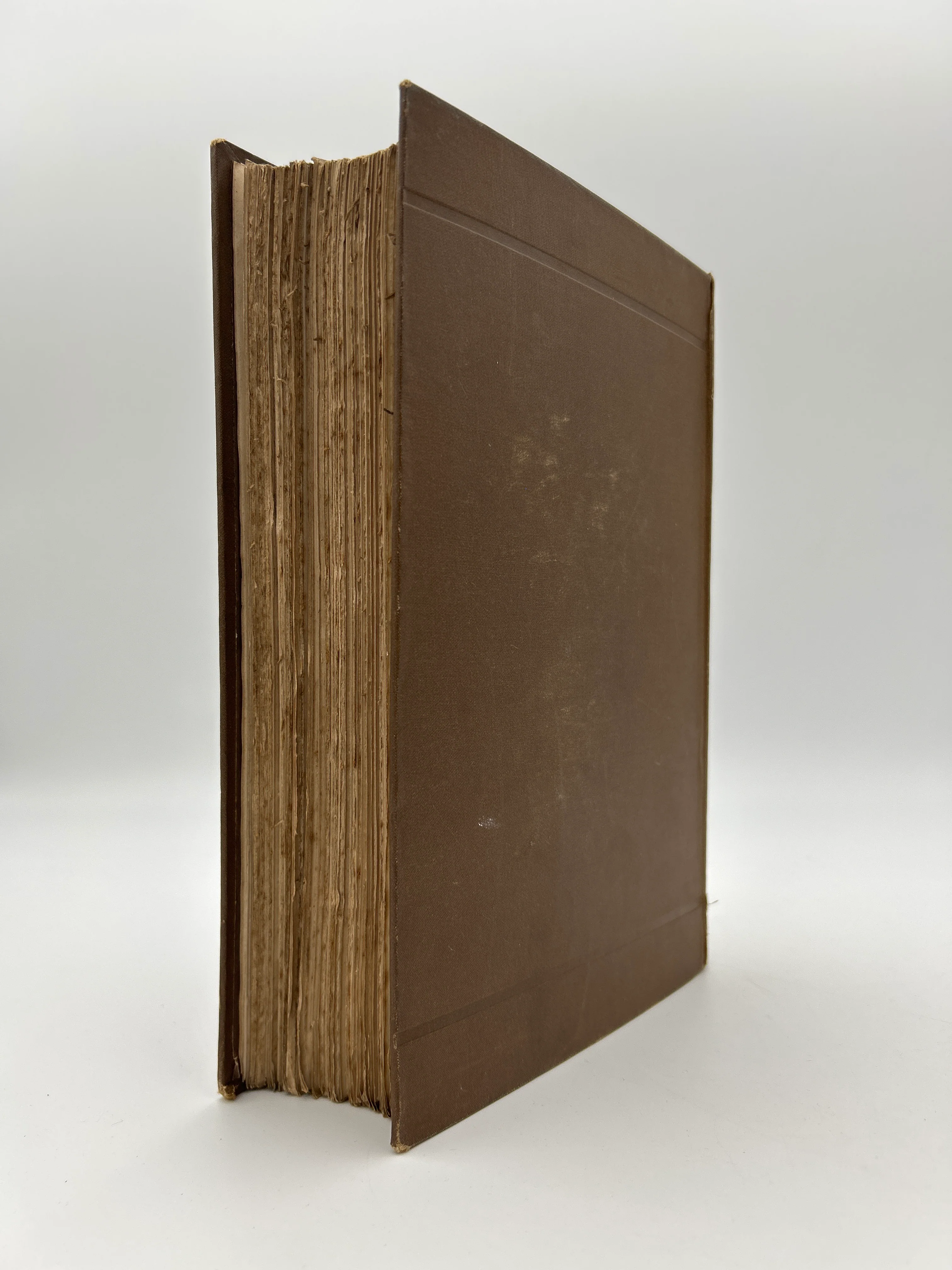 Don Quixote - Image 11
