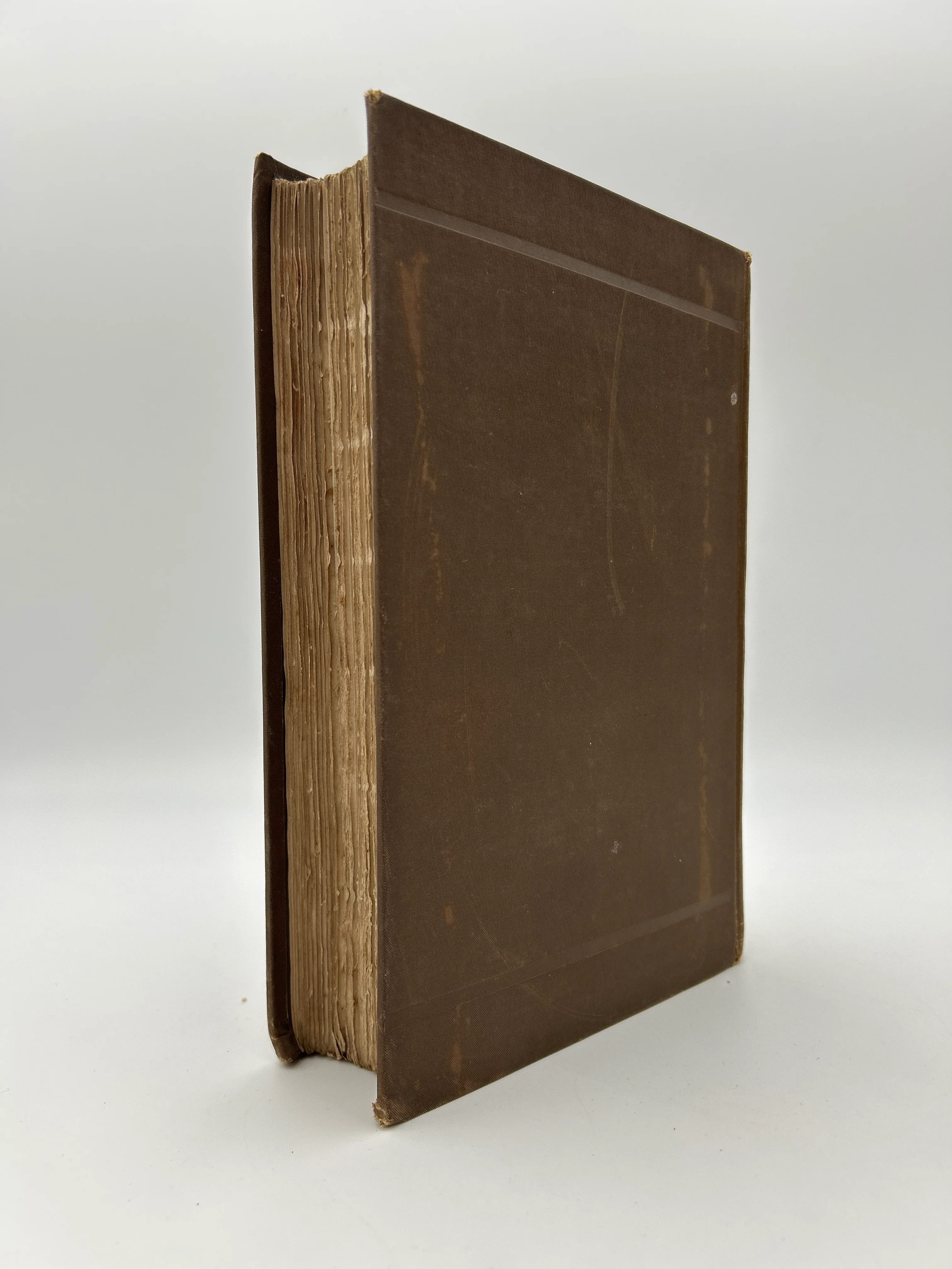 Don Quixote - Image 14