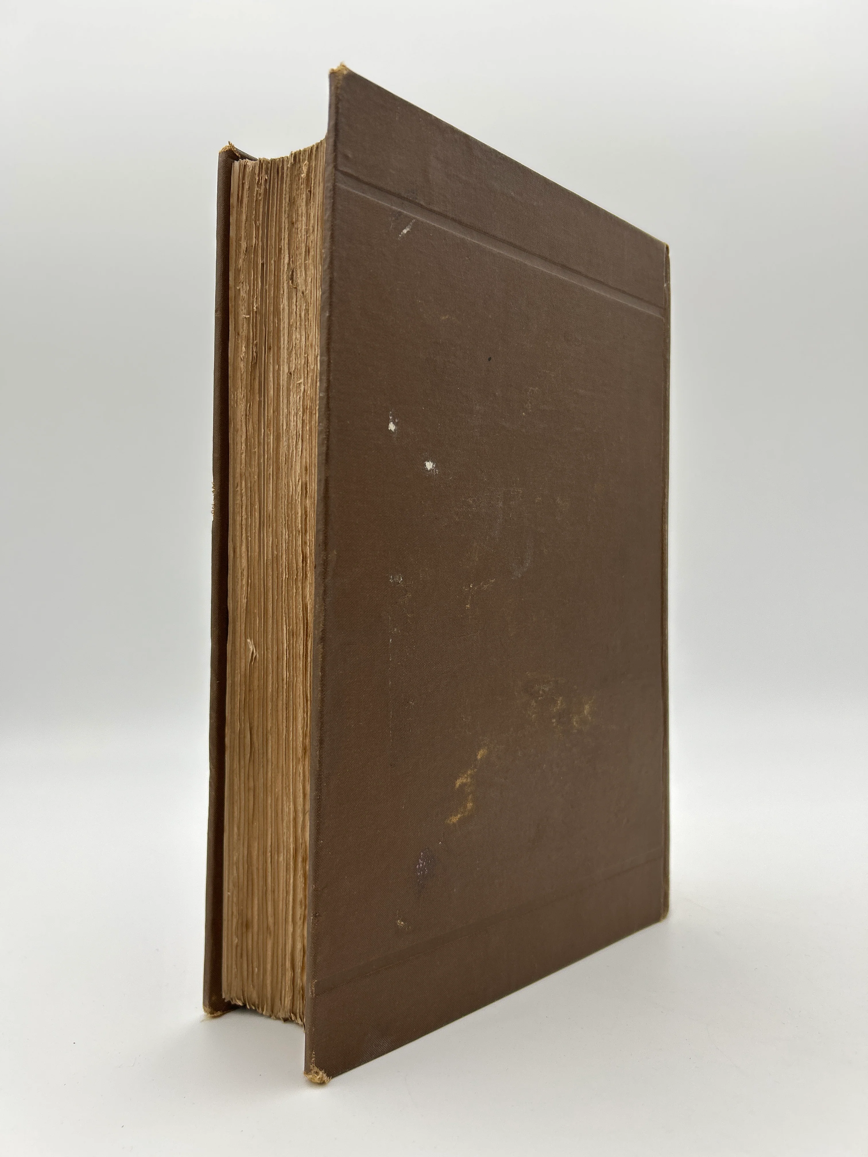 Don Quixote - Image 8