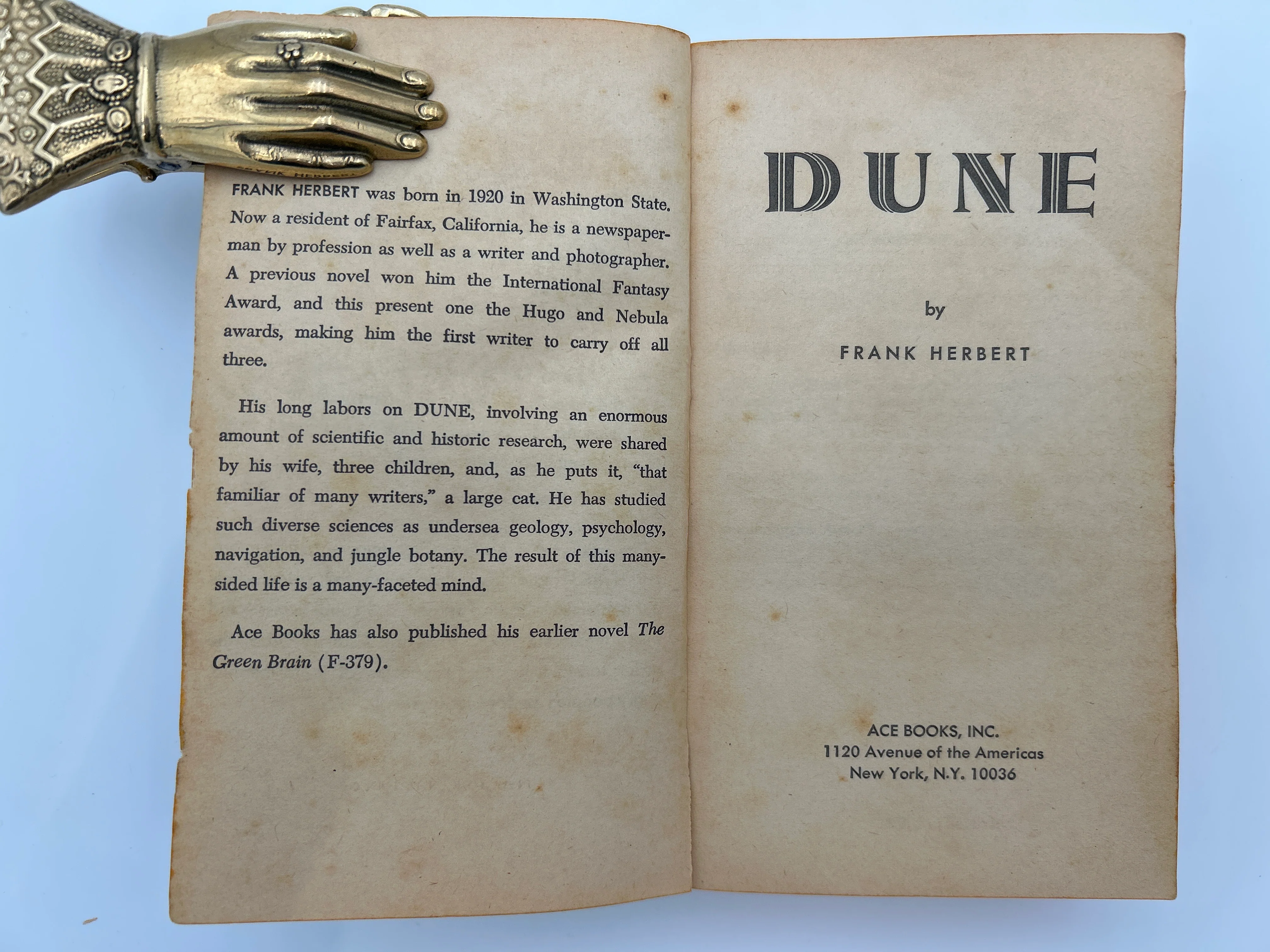 Dune - Image 2