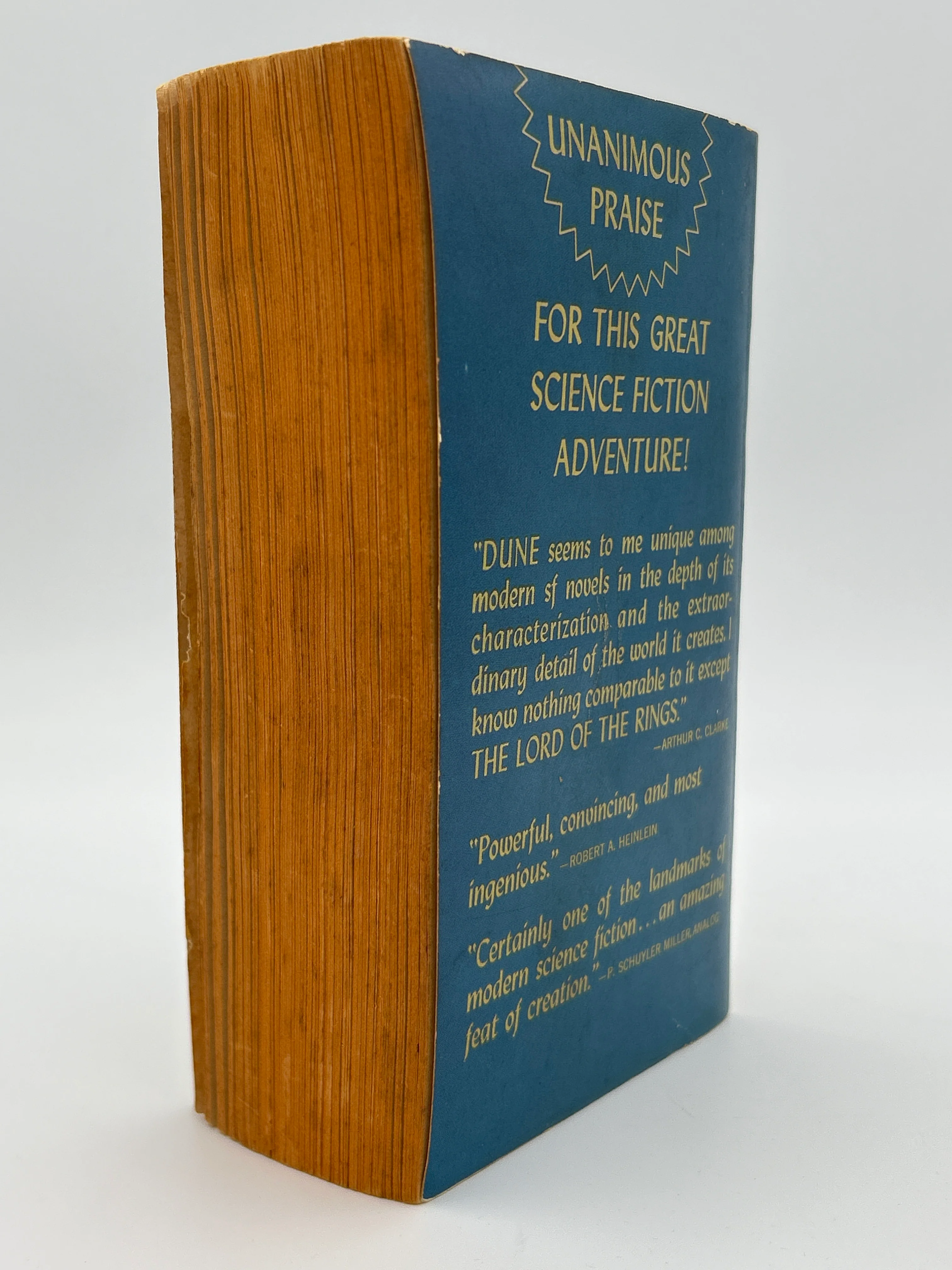 Dune - Image 4