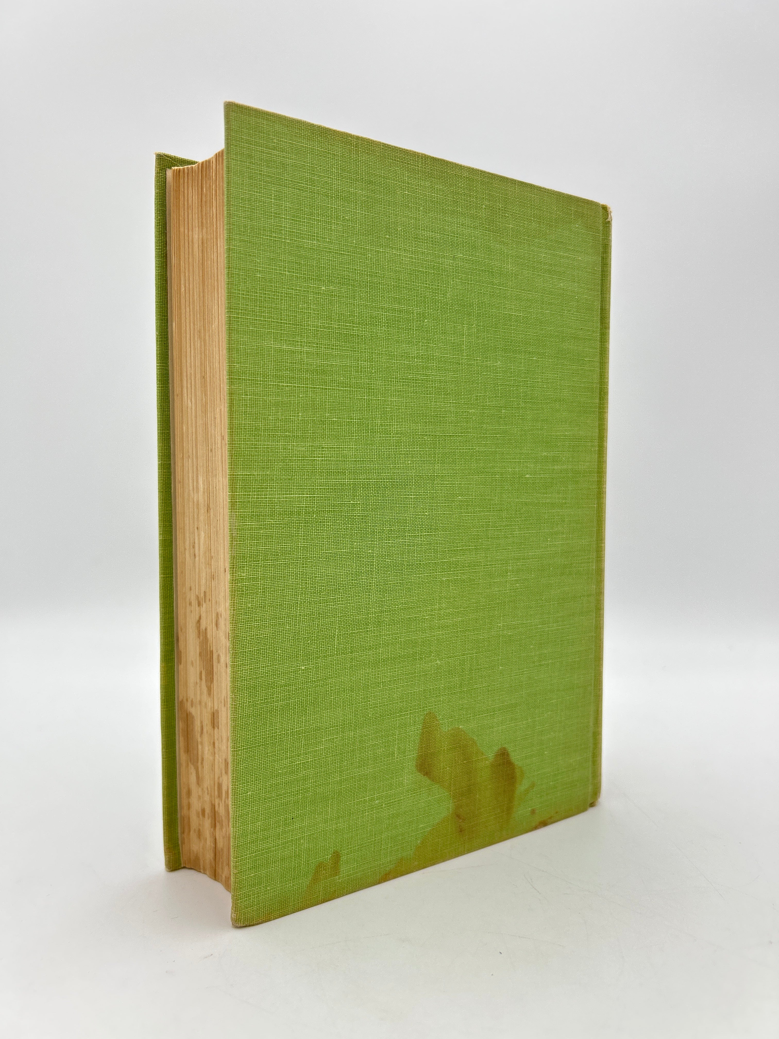 East of Eden - Image 7